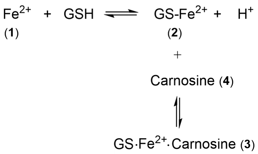 Molecules 28 06467 sch002