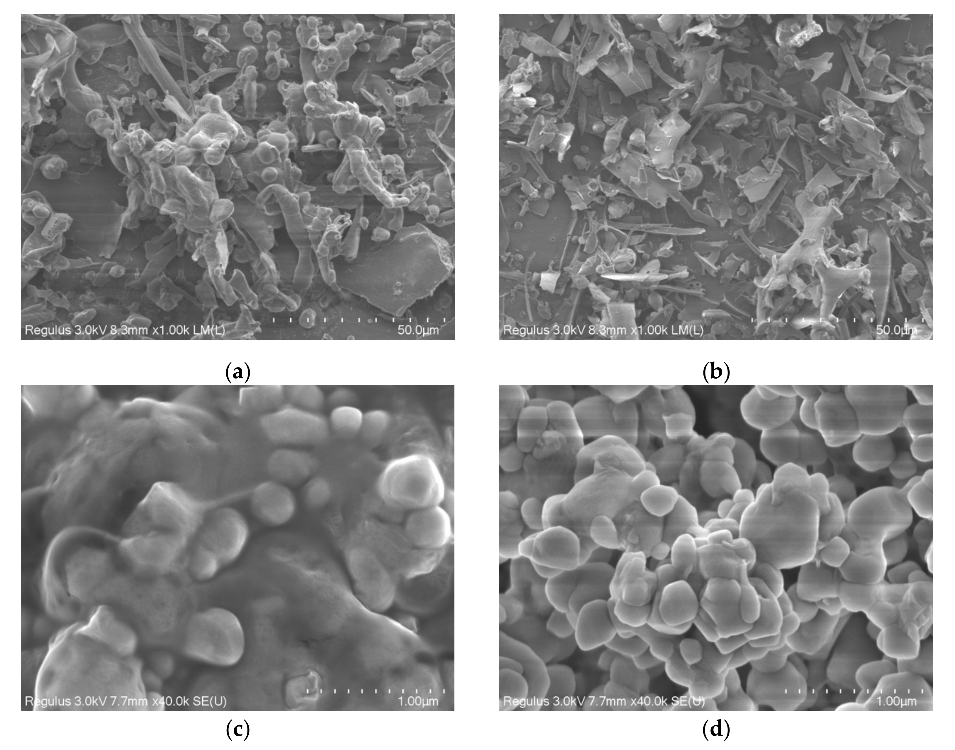 Molecules 28 06468 g004