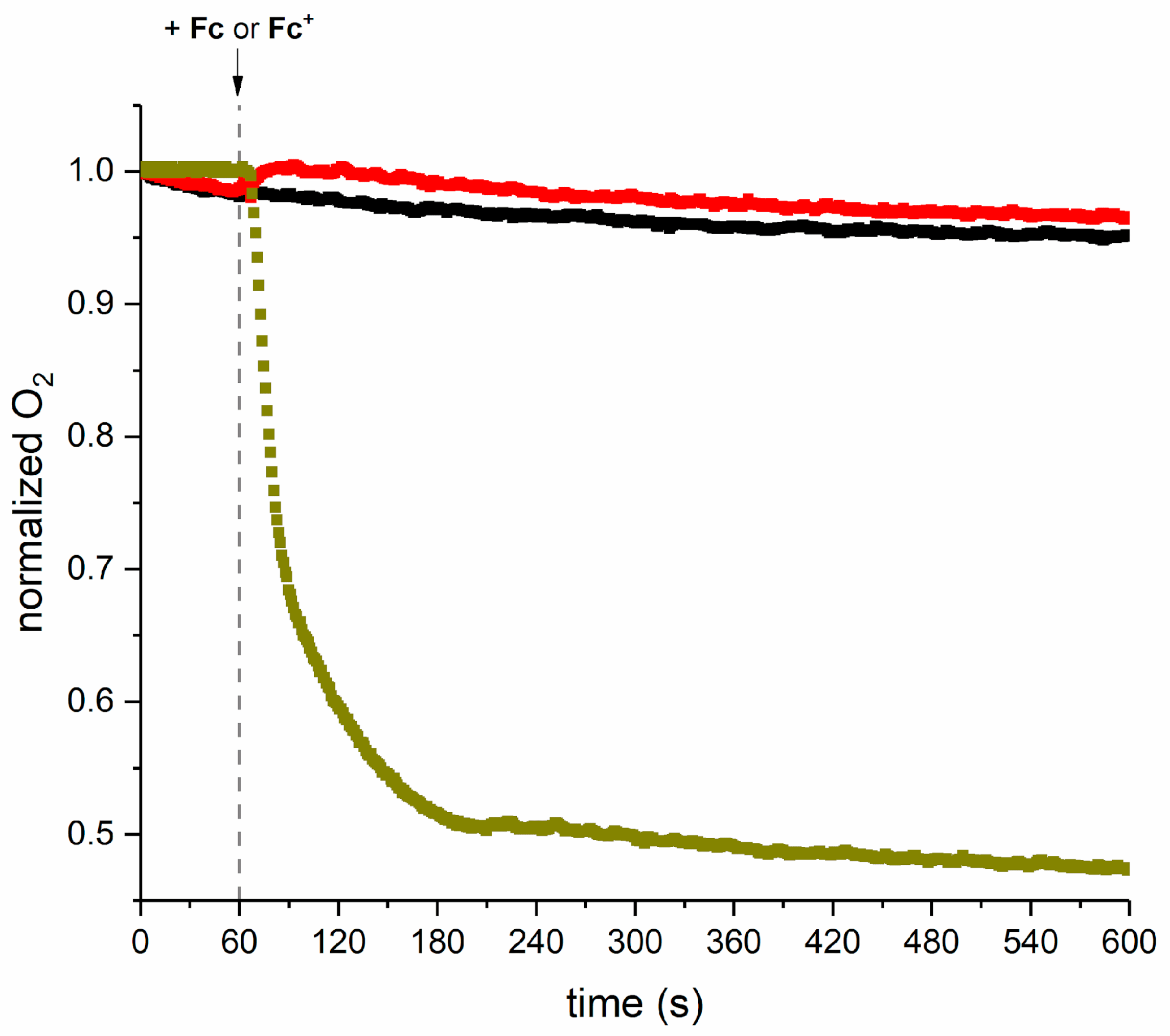 Molecules 28 06469 g007