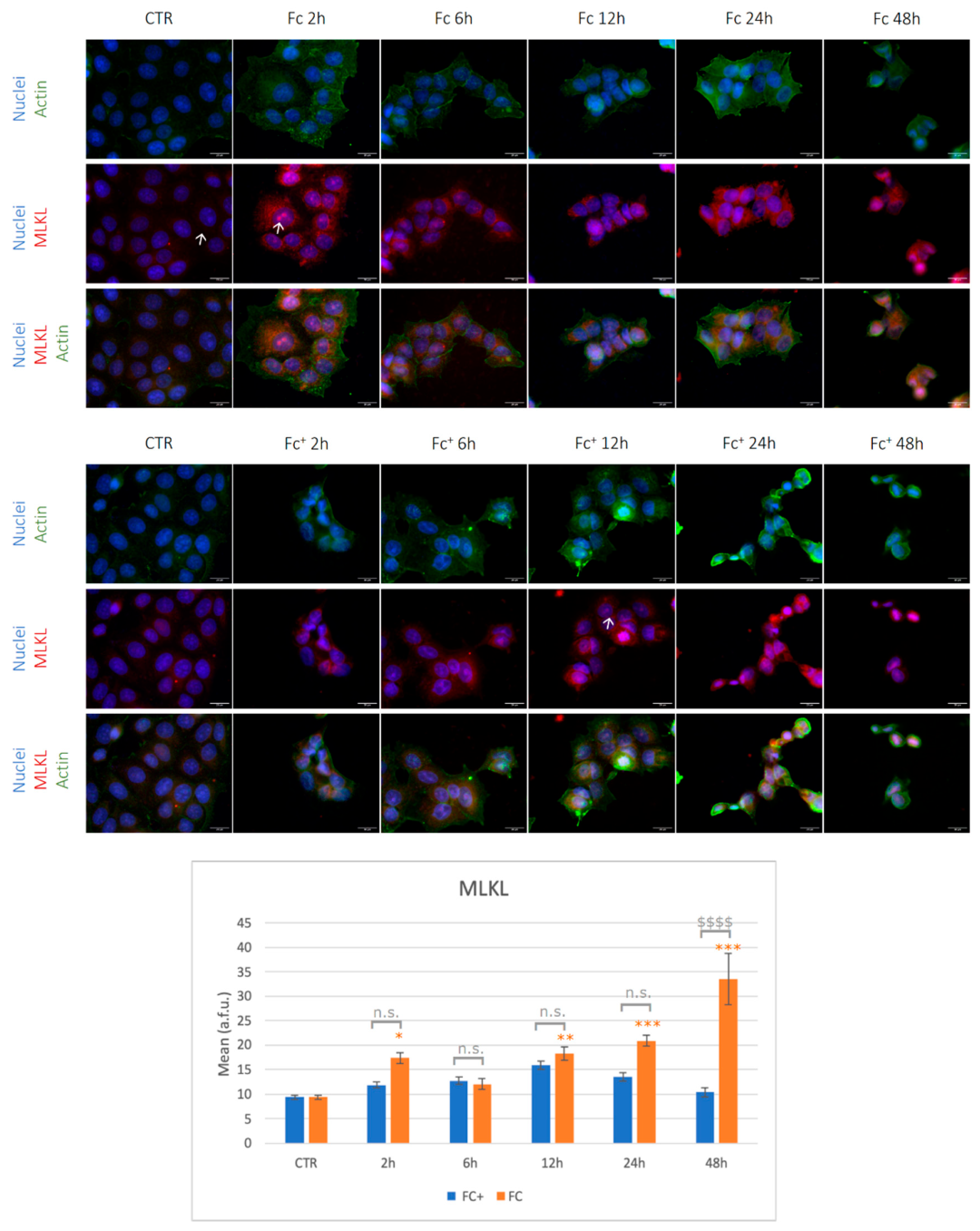 Molecules 28 06469 g011