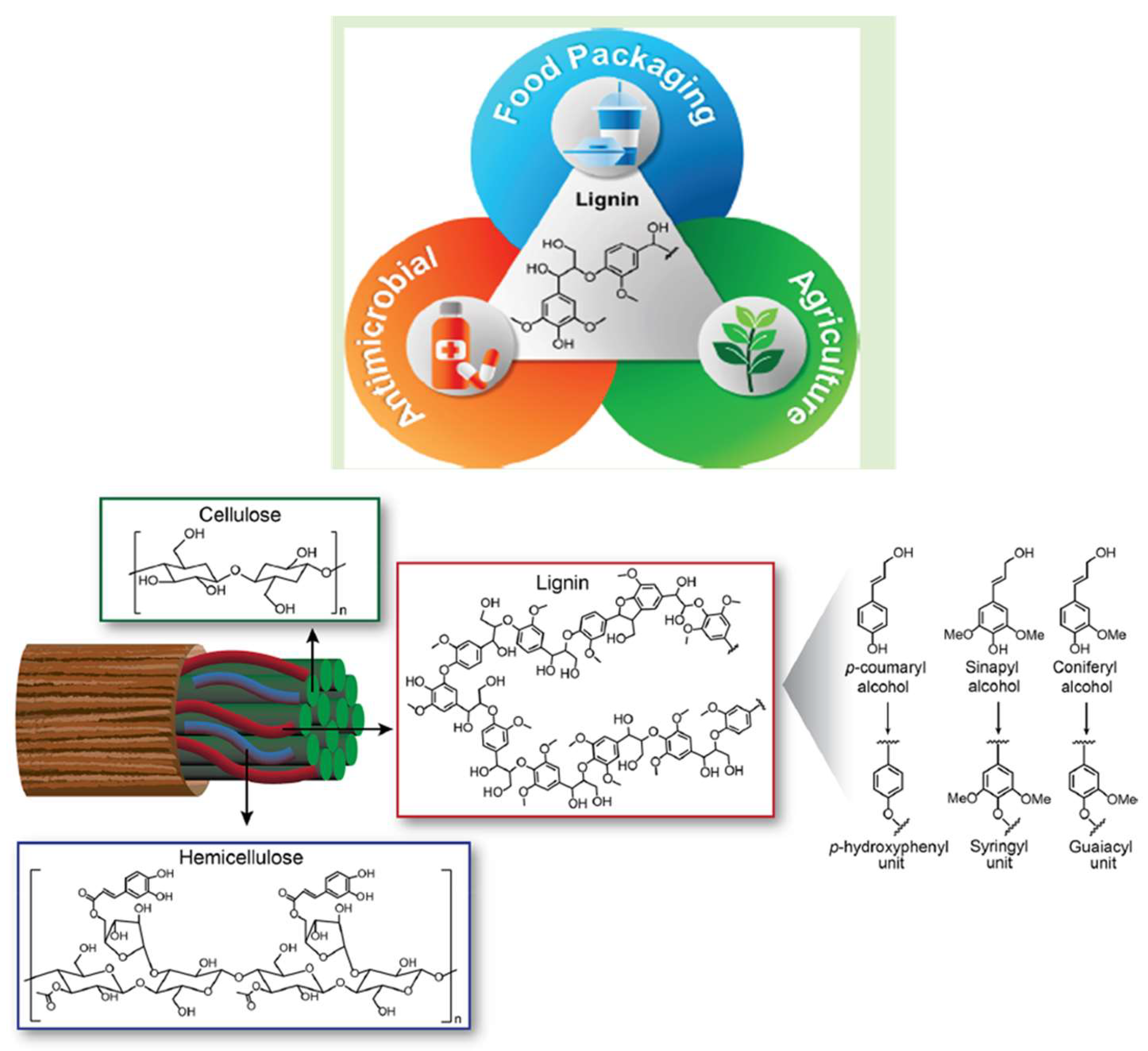 Molecules 28 06470 g001