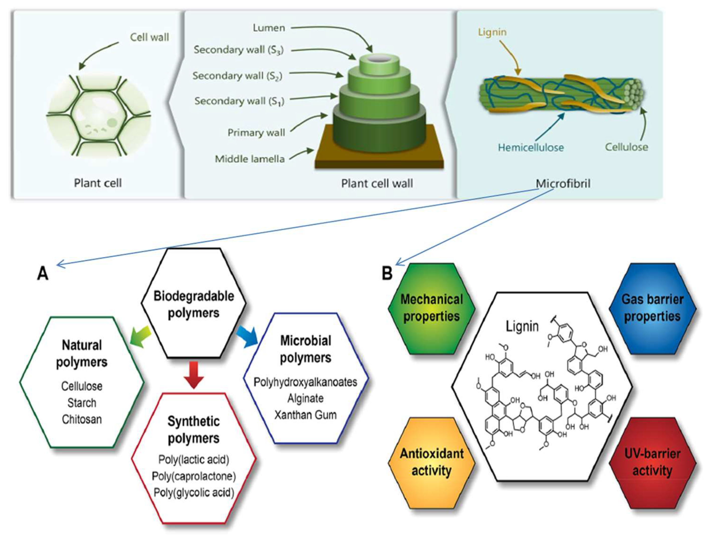 Molecules 28 06470 g002