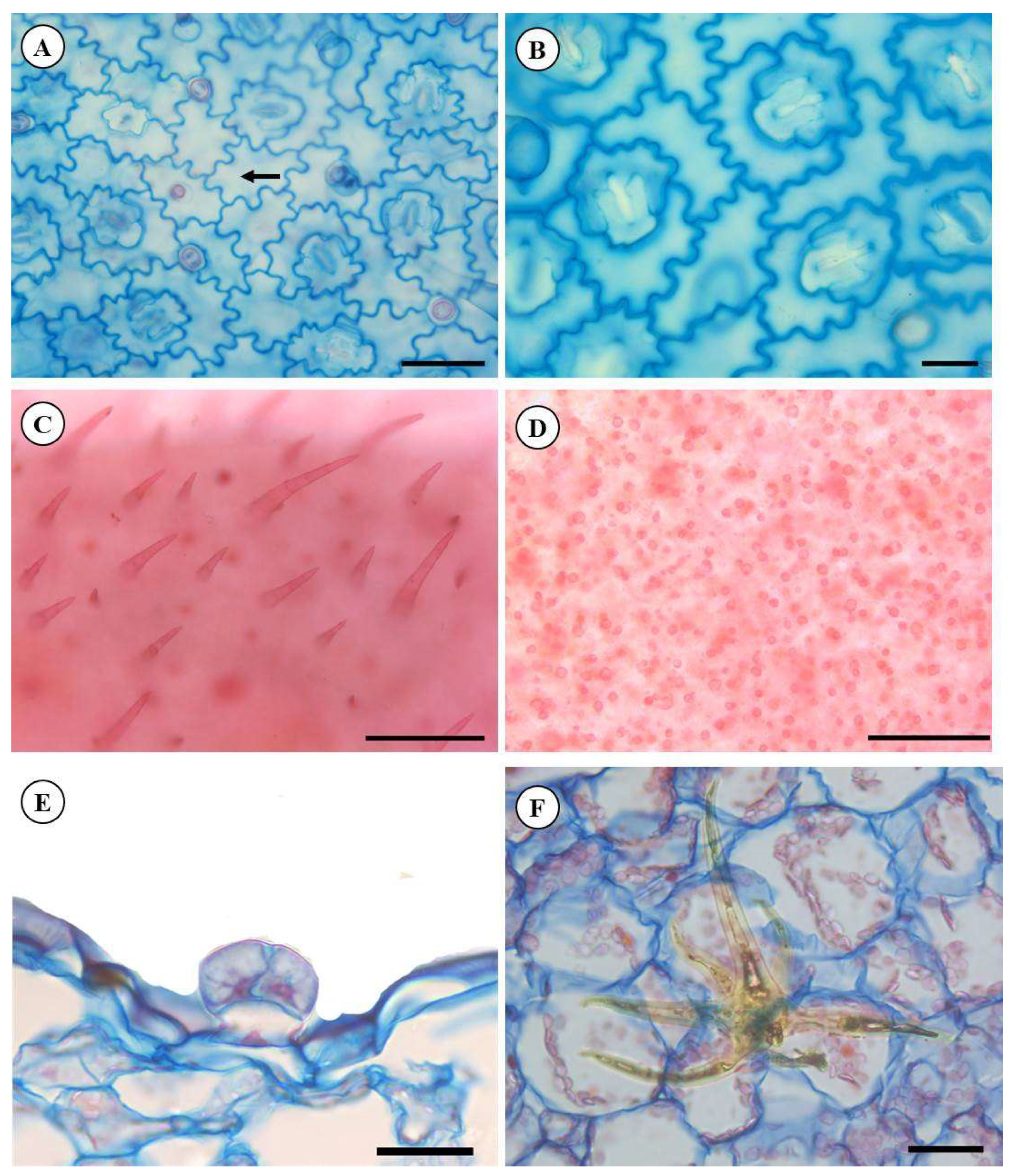 Molecules 28 06482 g002