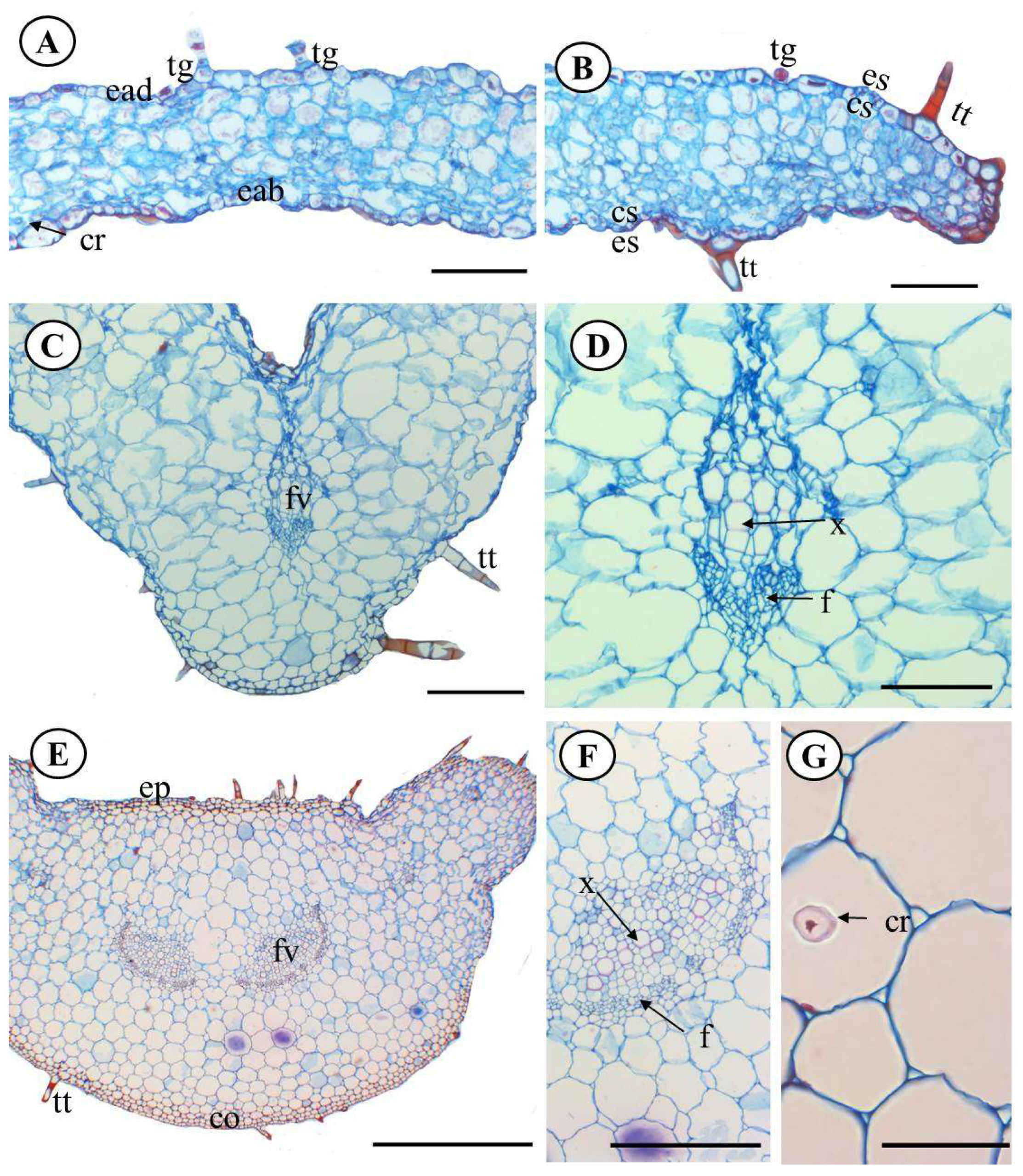 Molecules 28 06482 g003