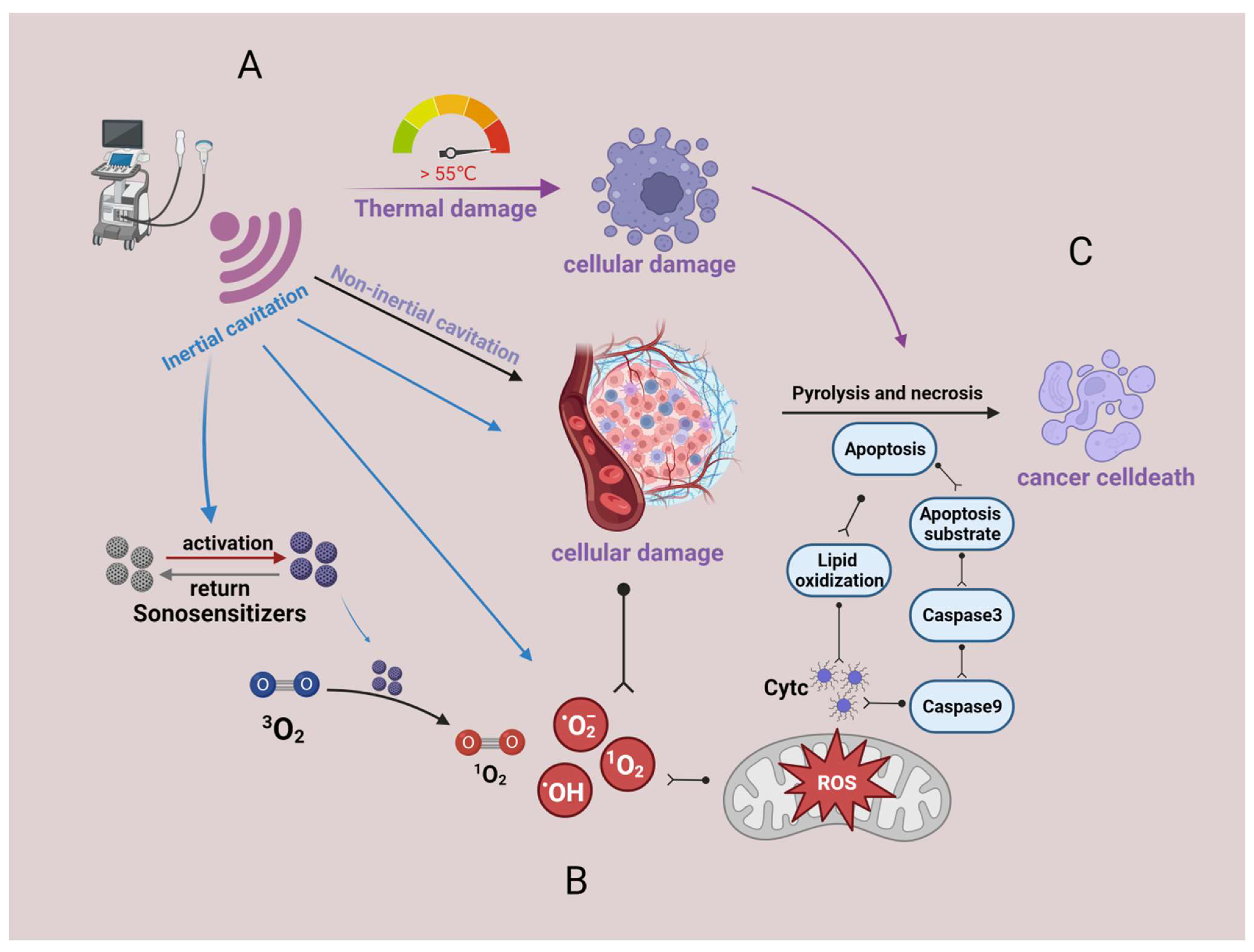 Molecules 28 06484 g001