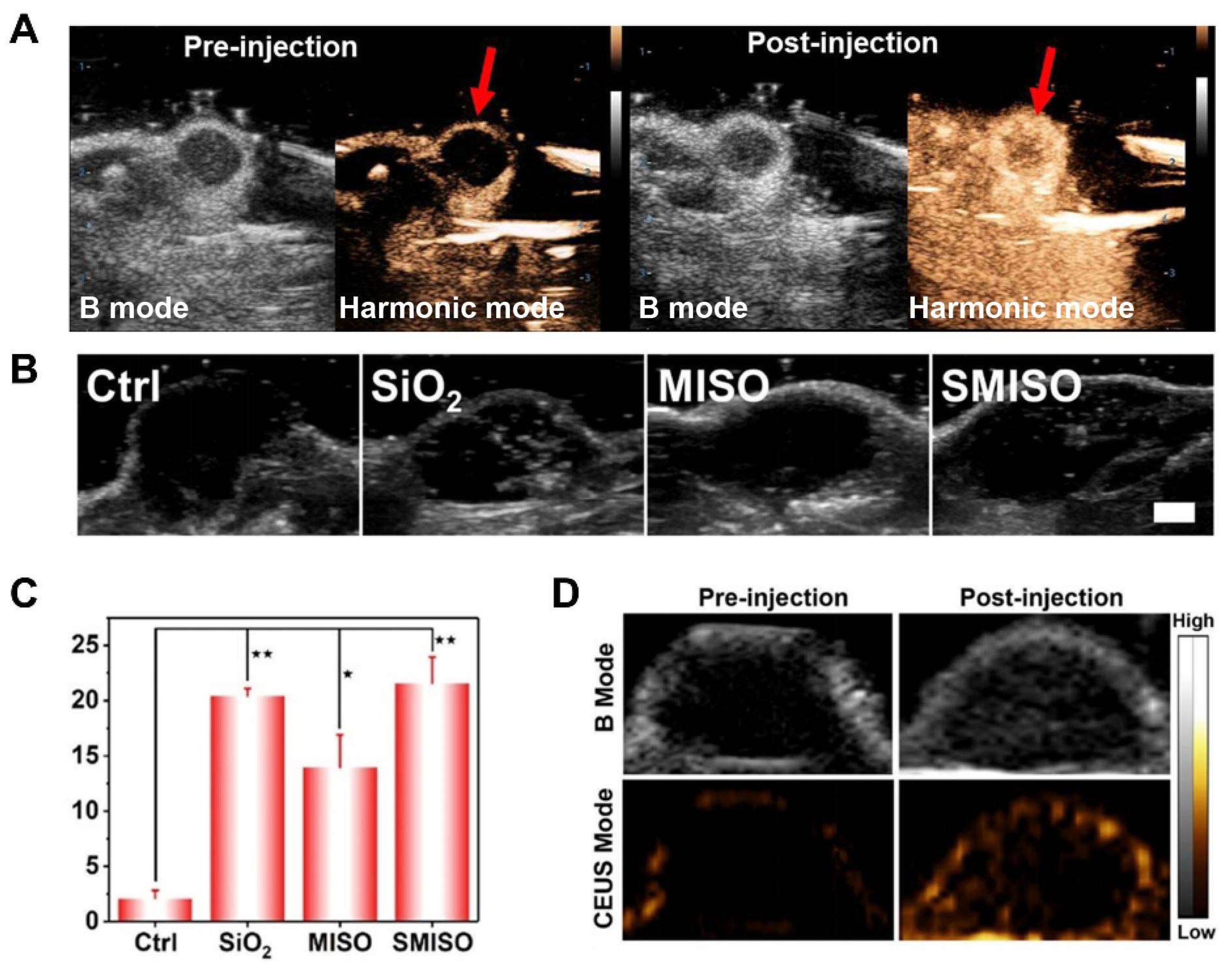 Molecules 28 06484 g003