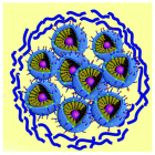 Molecules 28 06484 i019