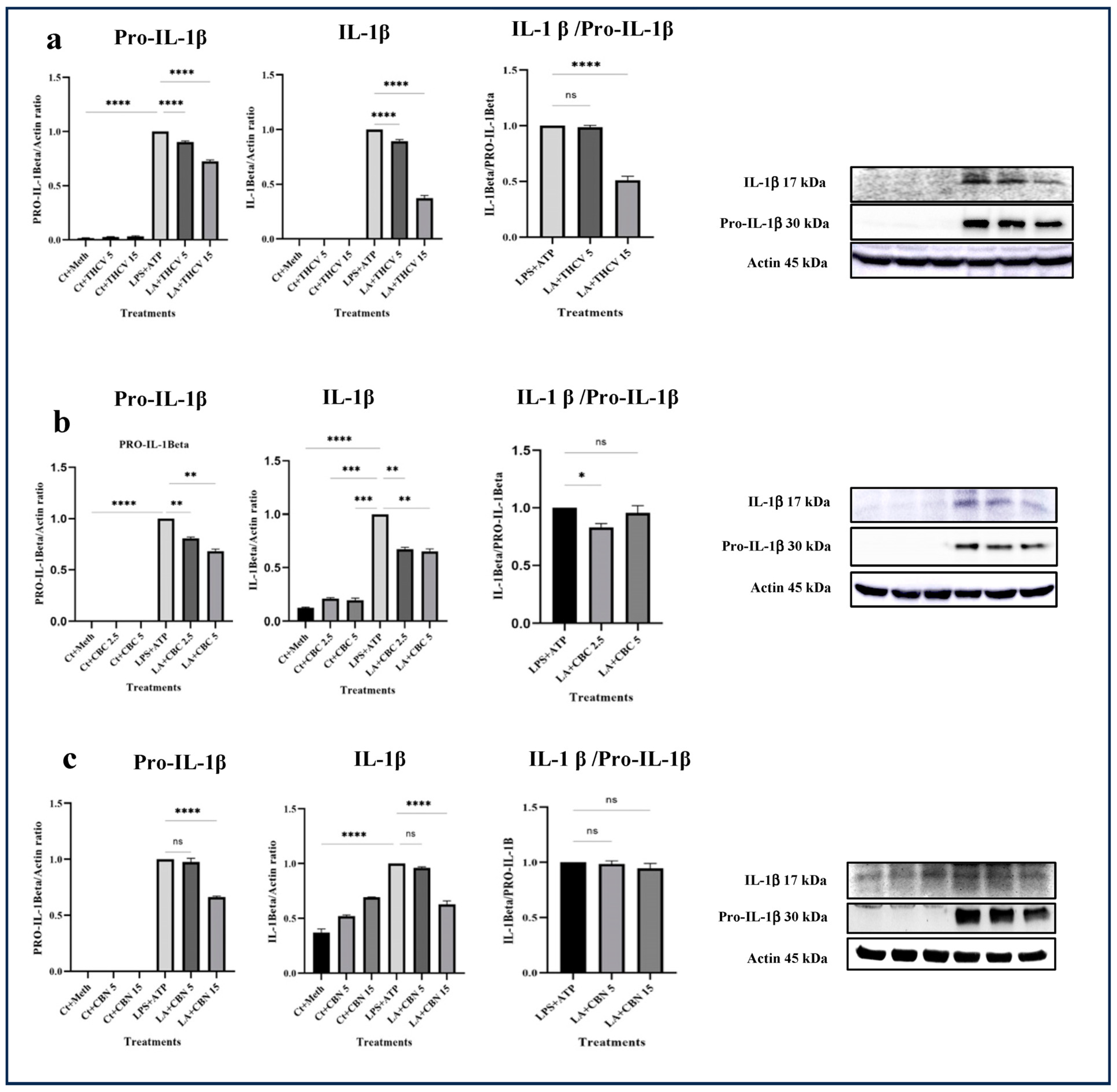 Molecules 28 06487 g001