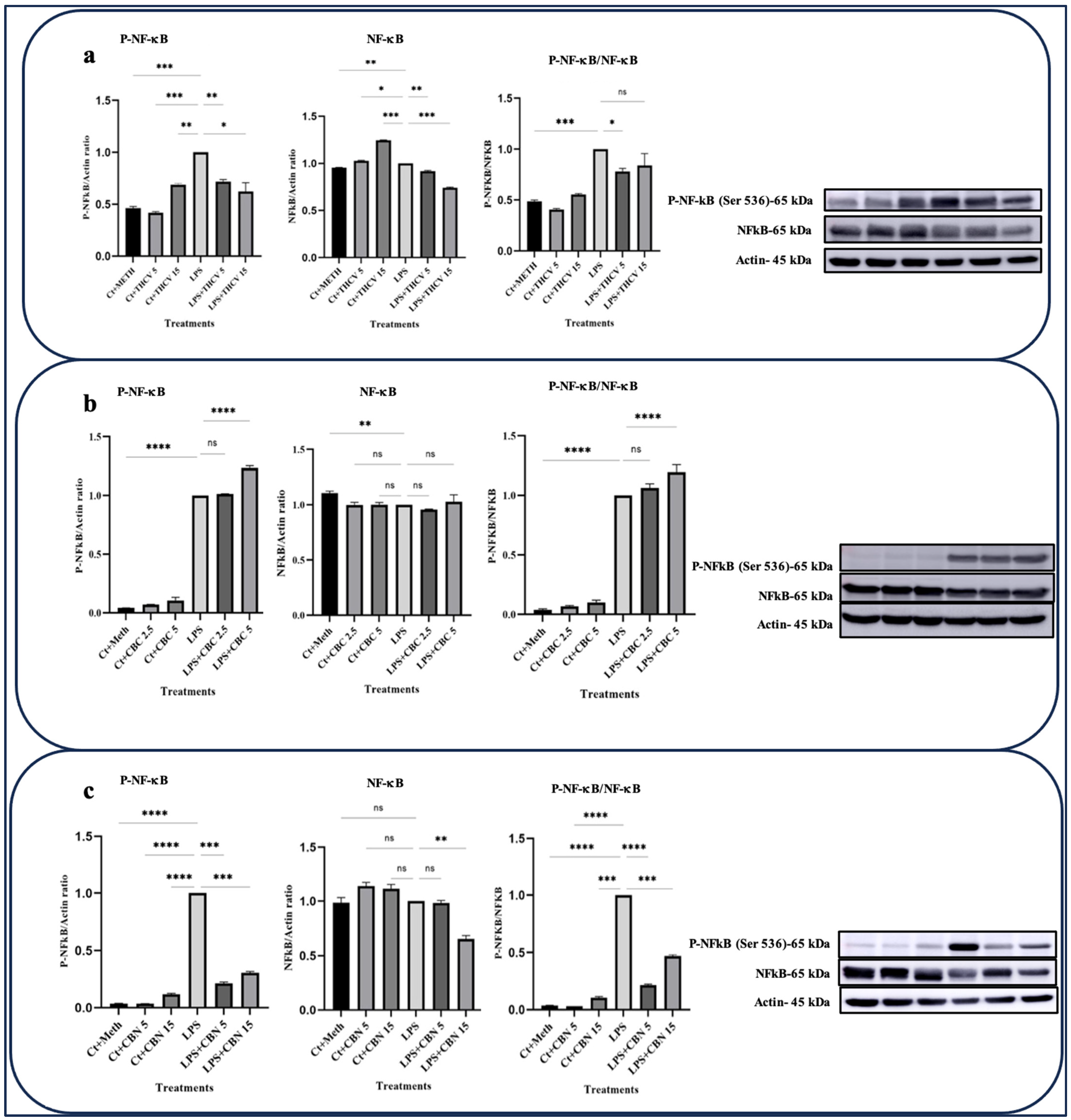 Molecules 28 06487 g003
