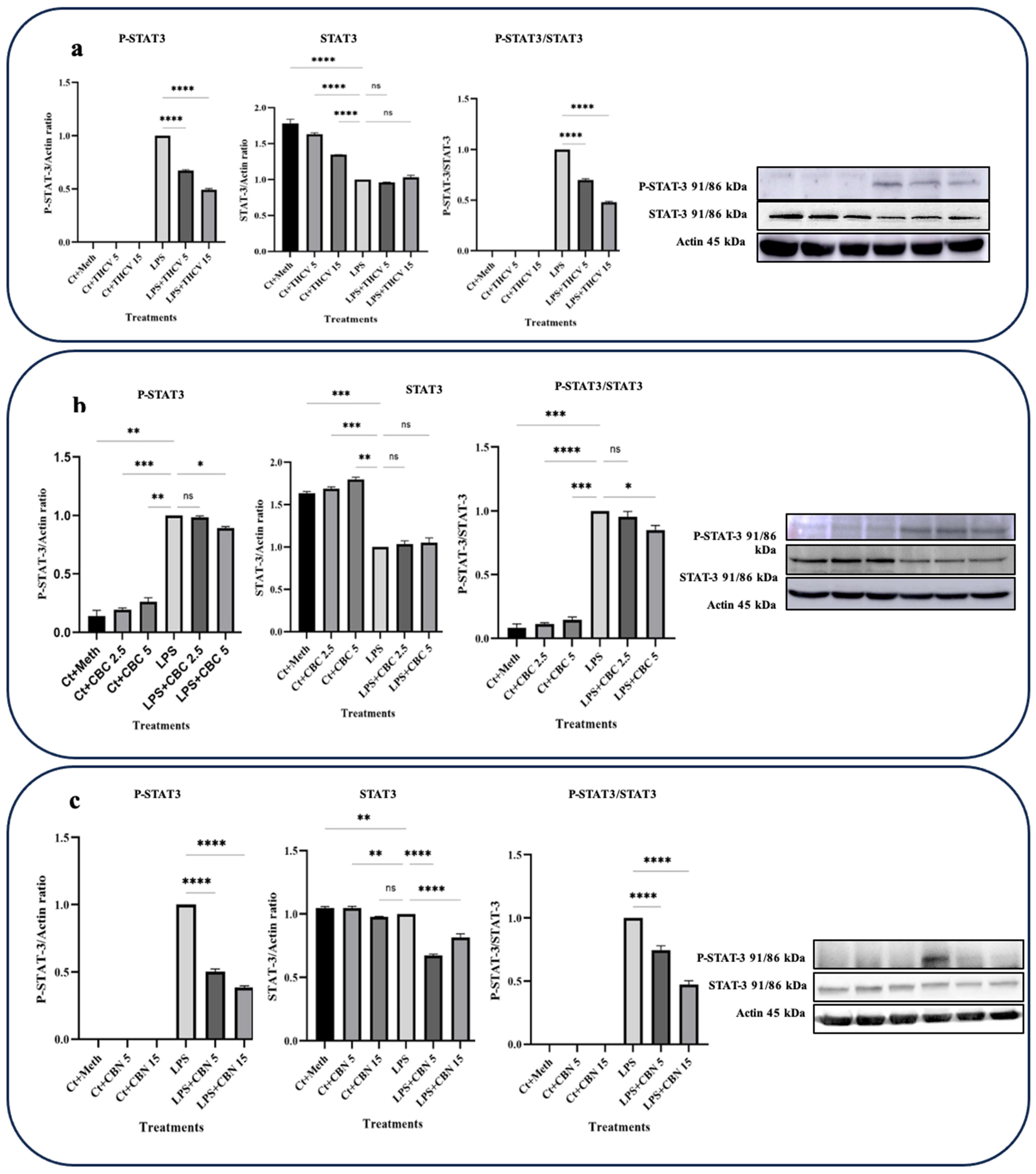 Molecules 28 06487 g004