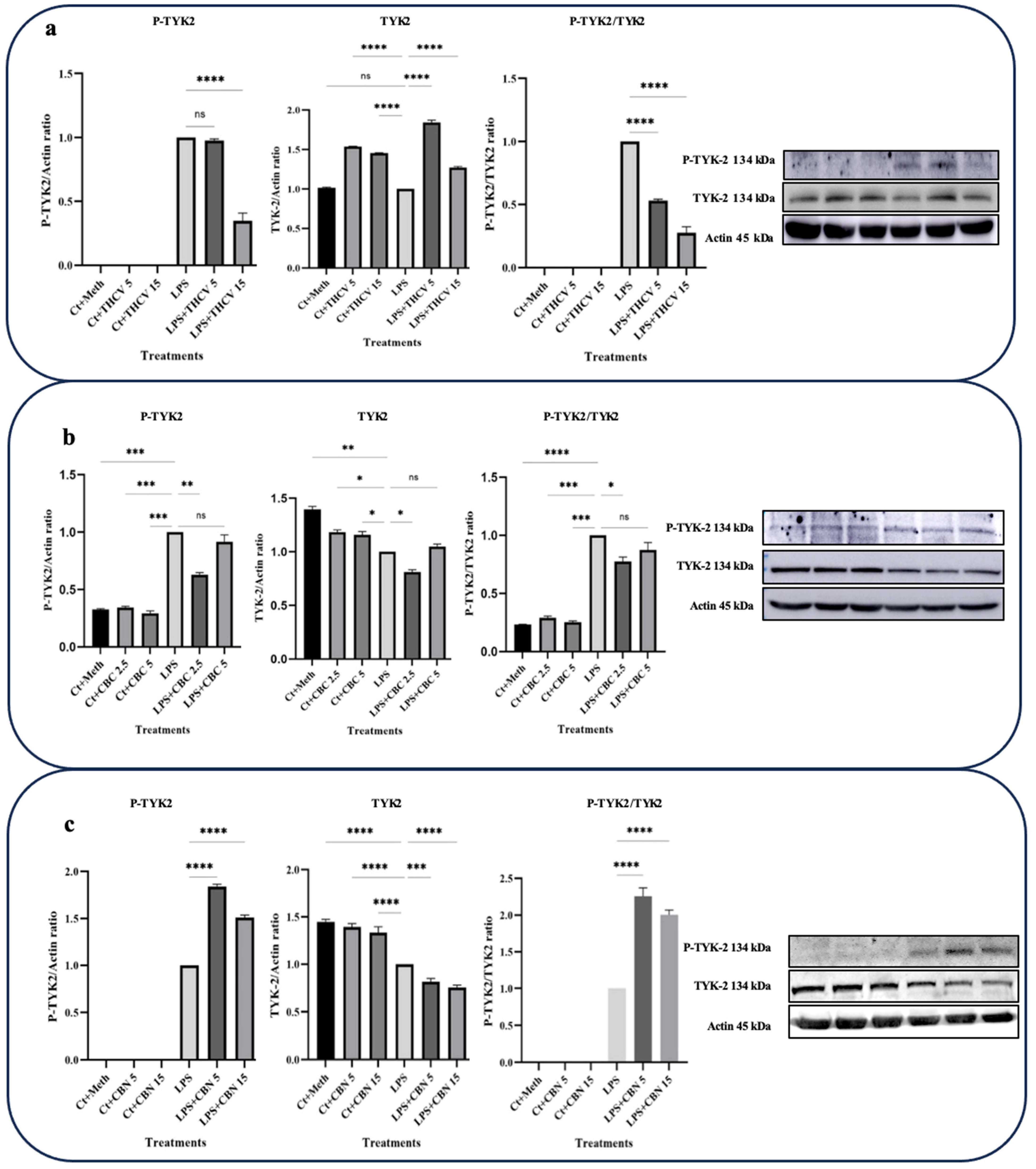 Molecules 28 06487 g005