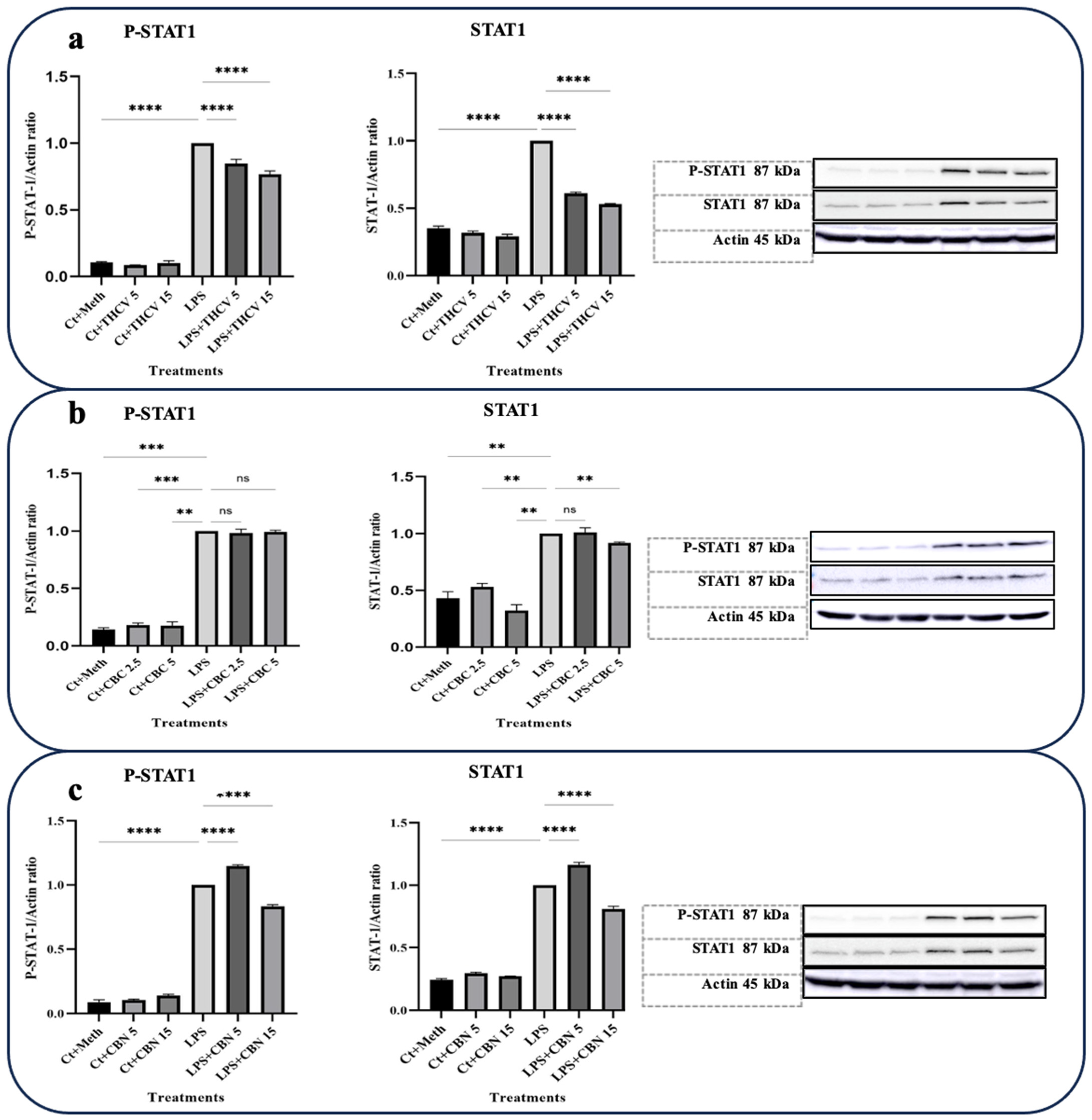 Molecules 28 06487 g006