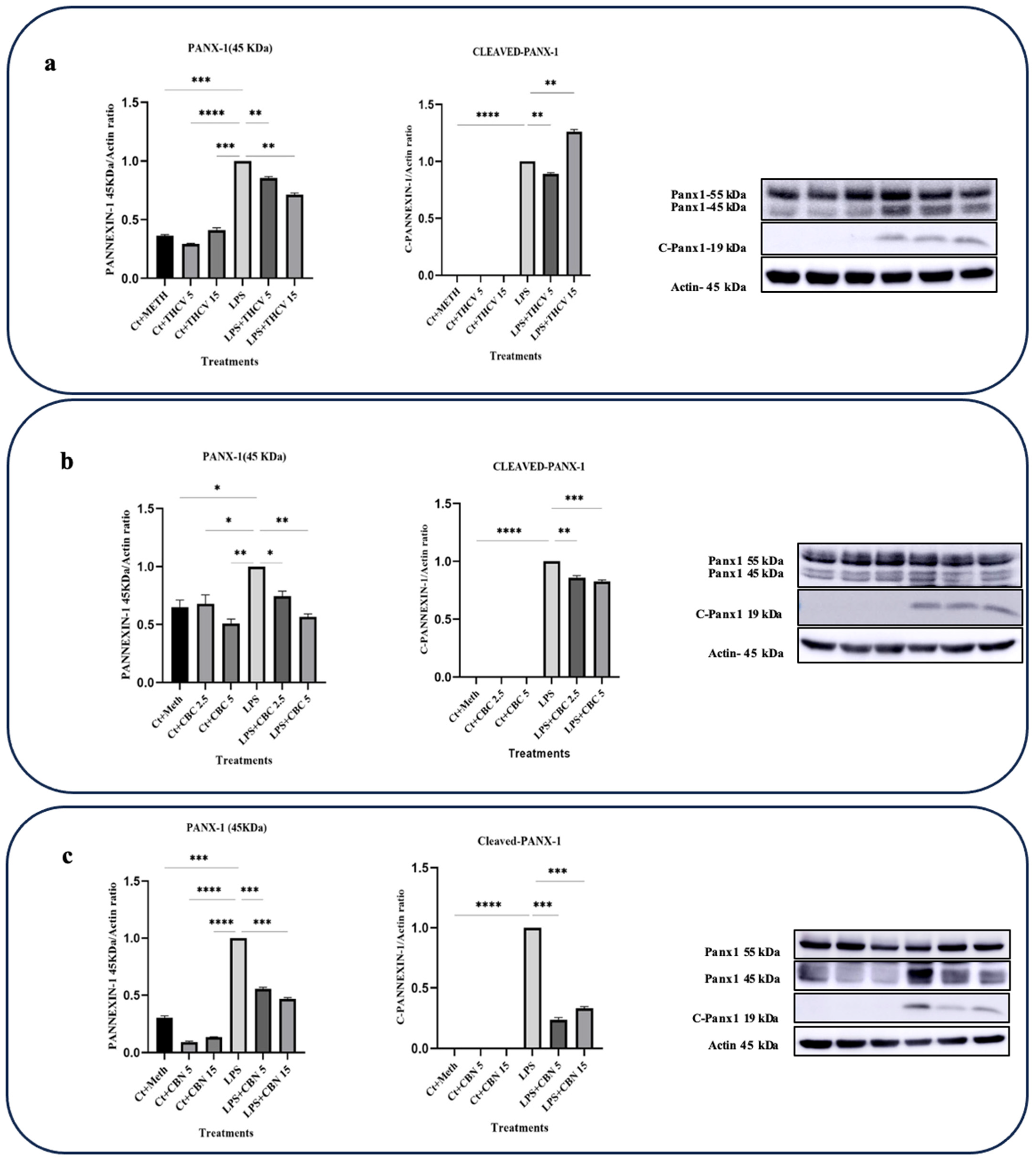 Molecules 28 06487 g008