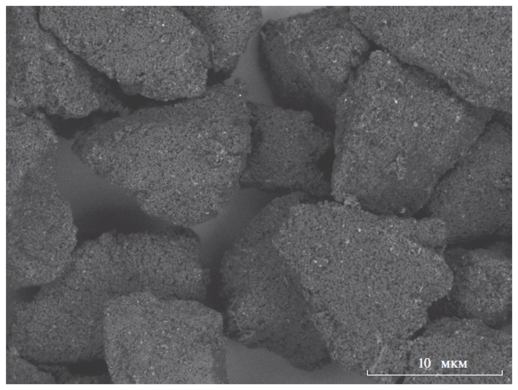 Molecules 28 06490 g004