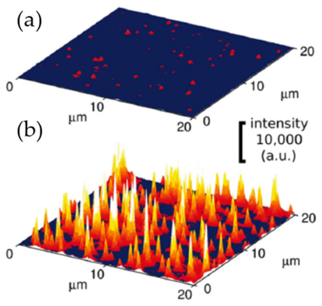 Molecules 28 06490 g006