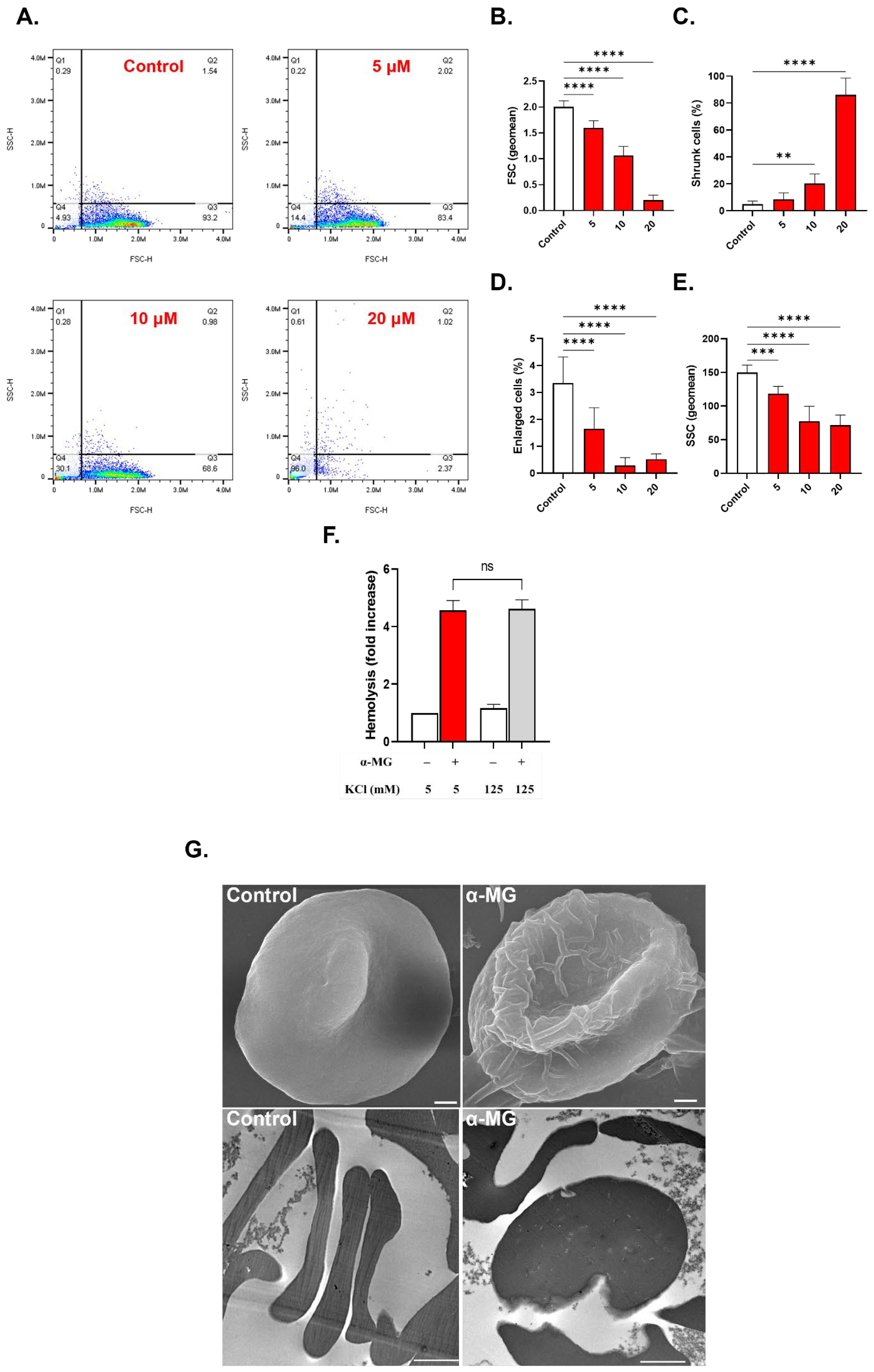 Molecules 28 06495 g004