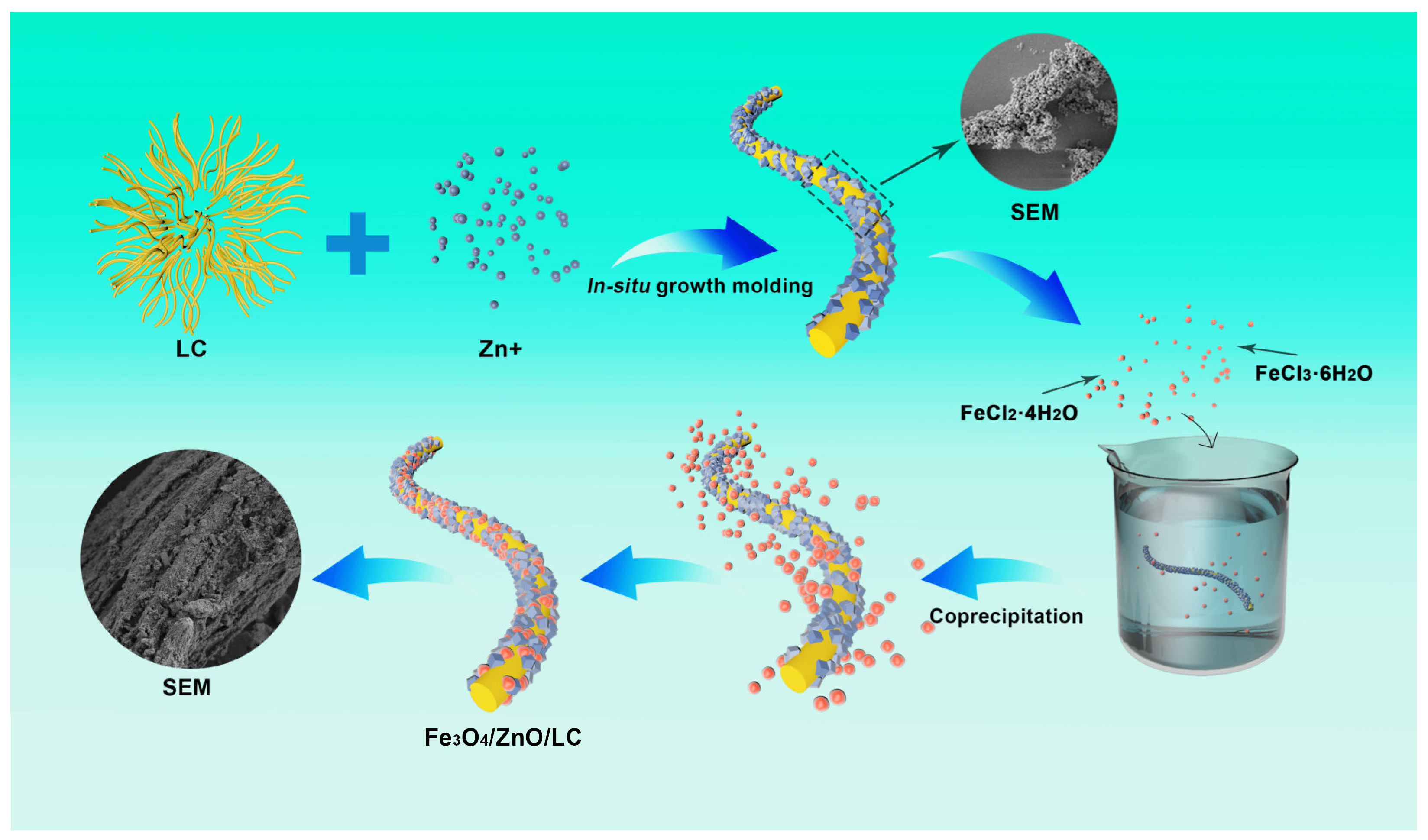 Molecules 28 06499 g011