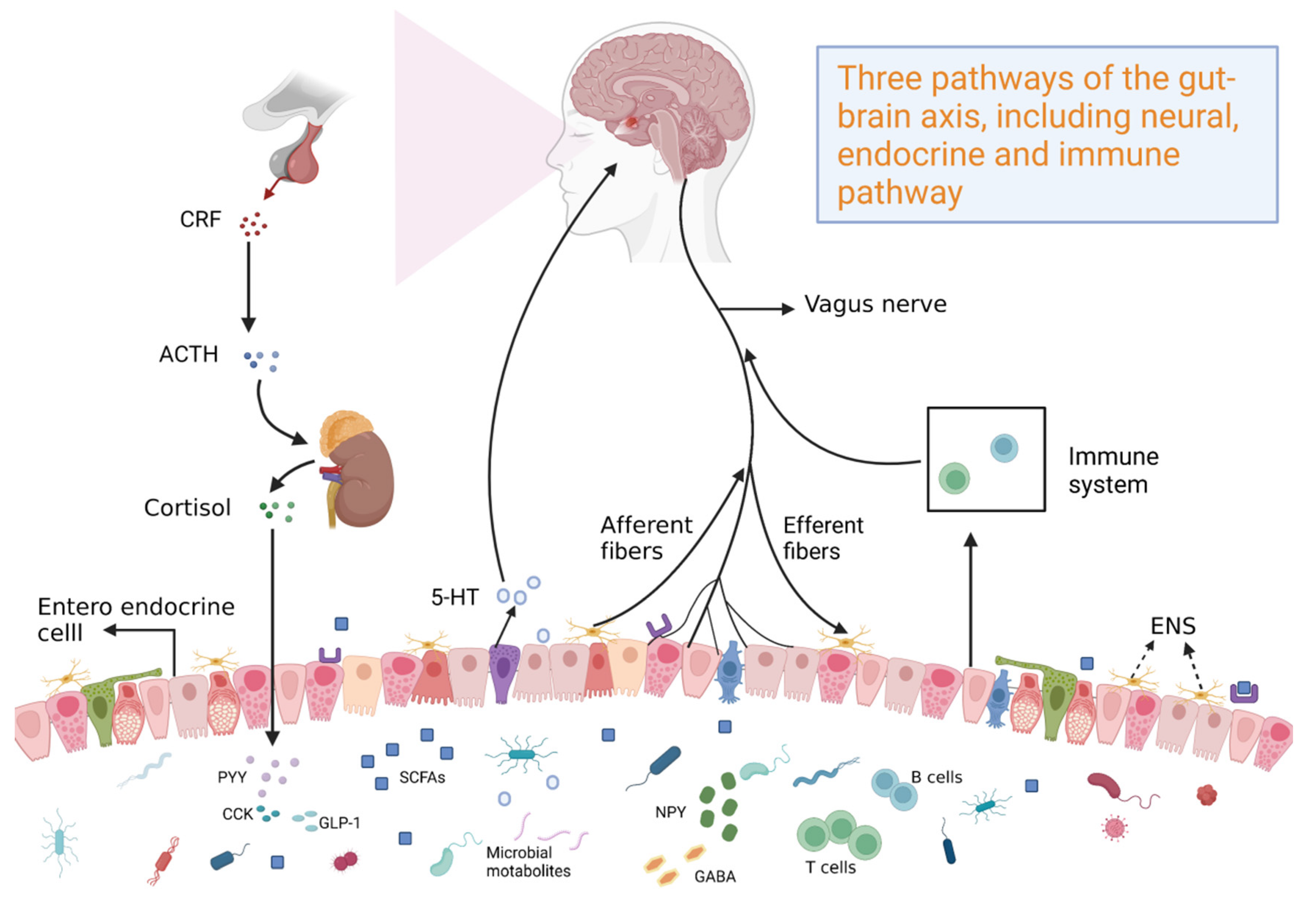 Molecules 28 06501 g001