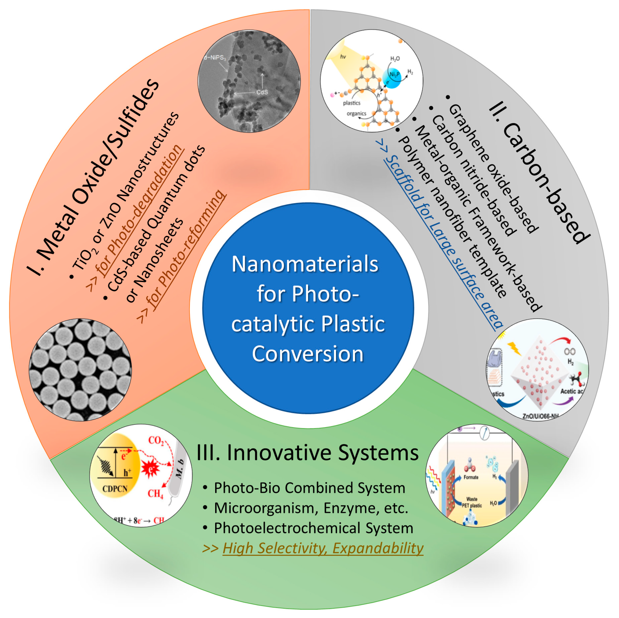 Molecules 28 06502 g008