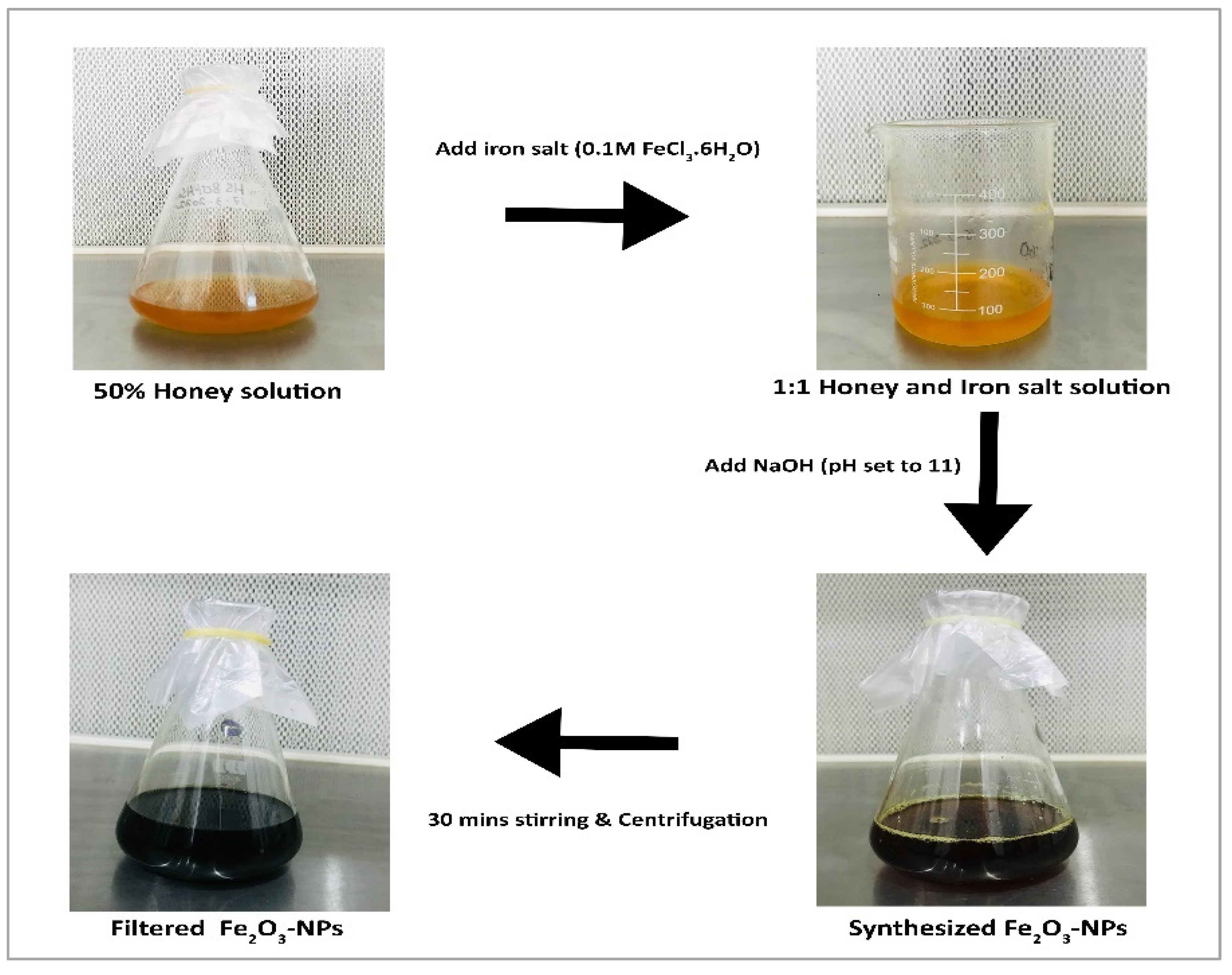 Molecules 28 06504 g001