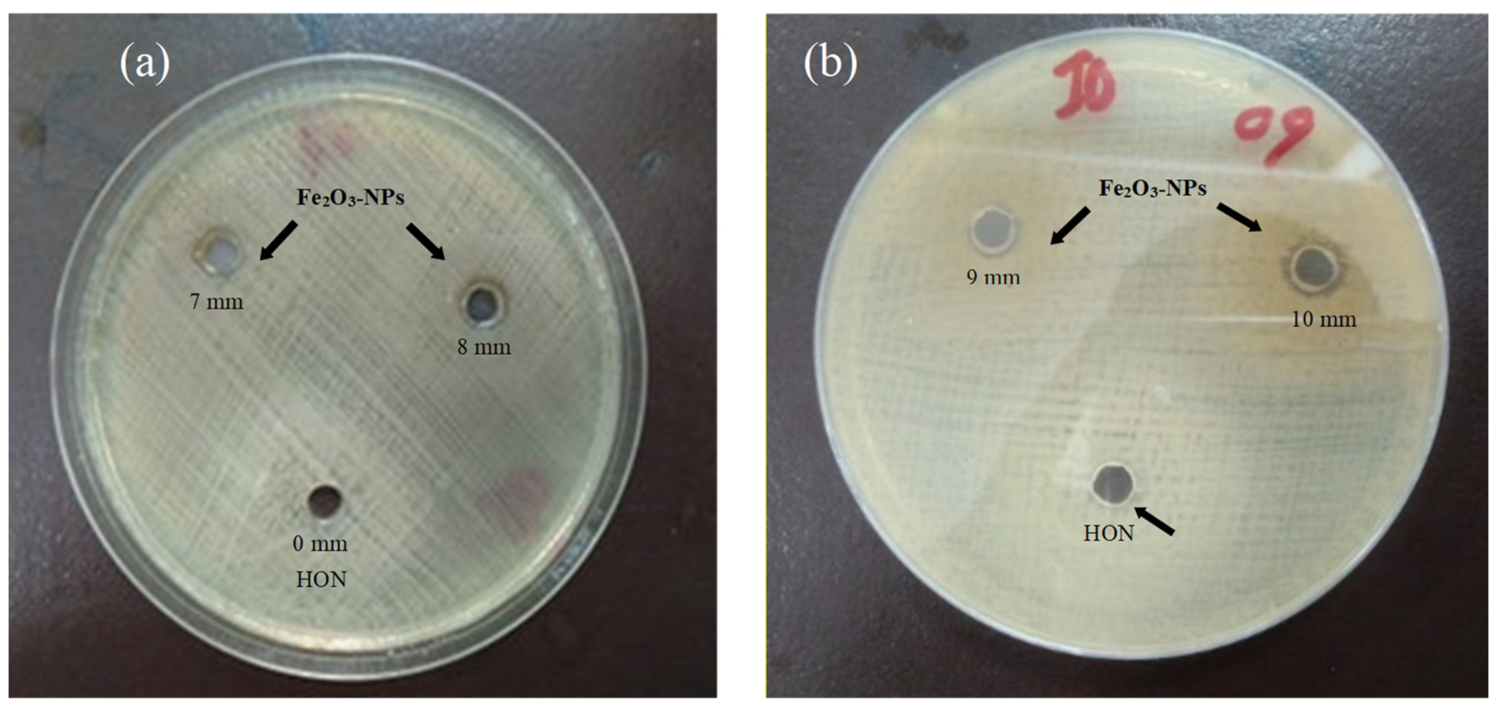 Molecules 28 06504 g005