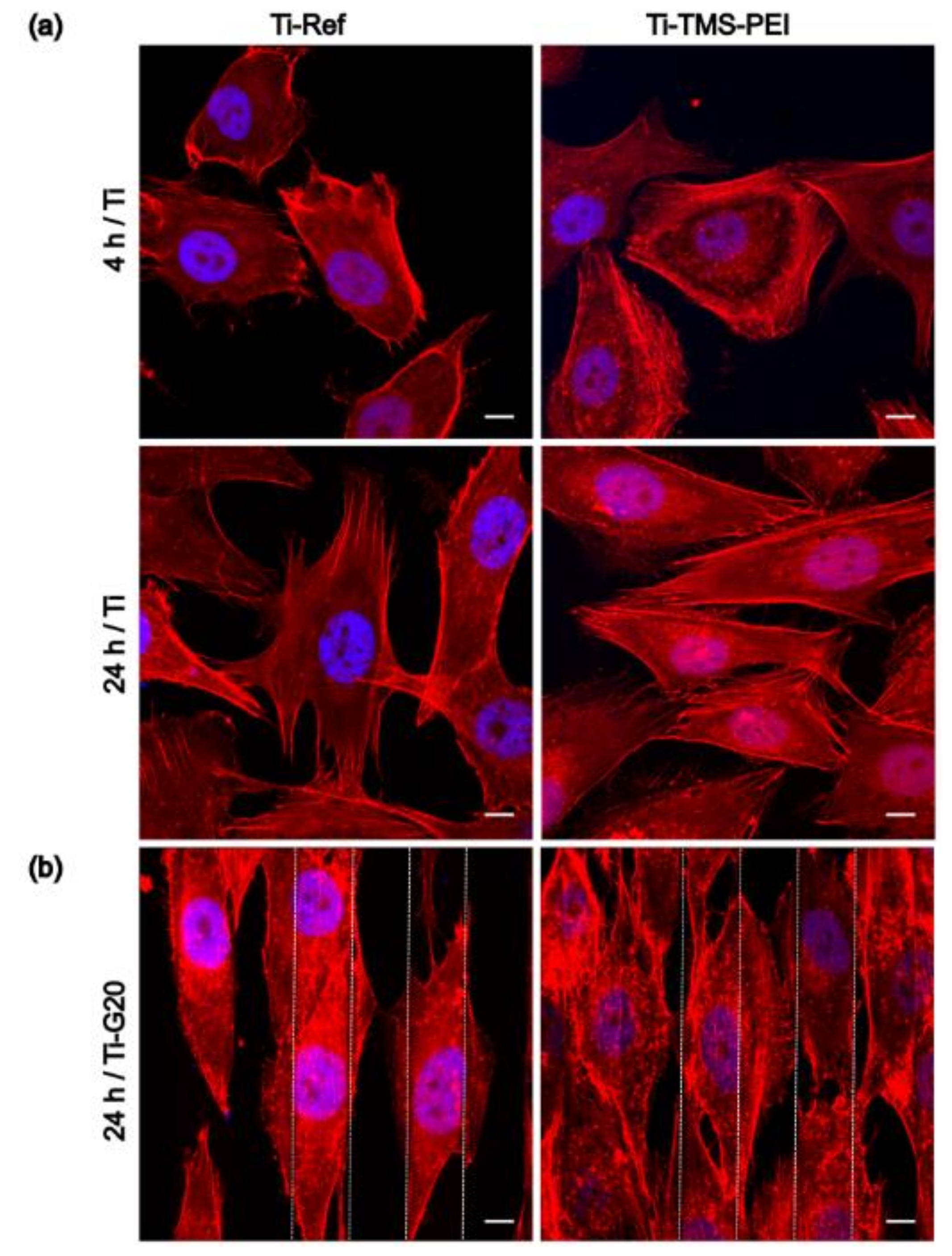 Molecules 28 06505 g002