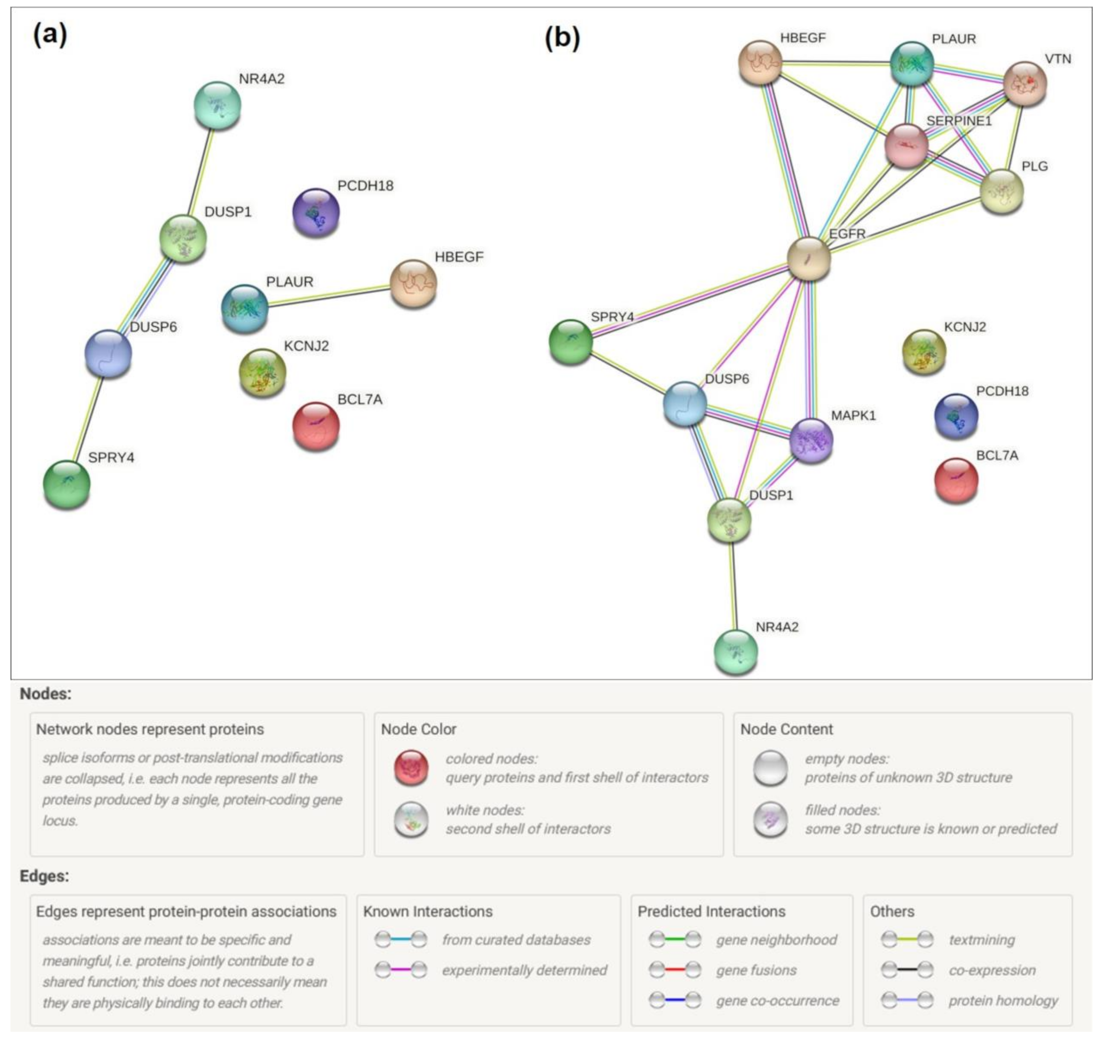 Molecules 28 06505 g008