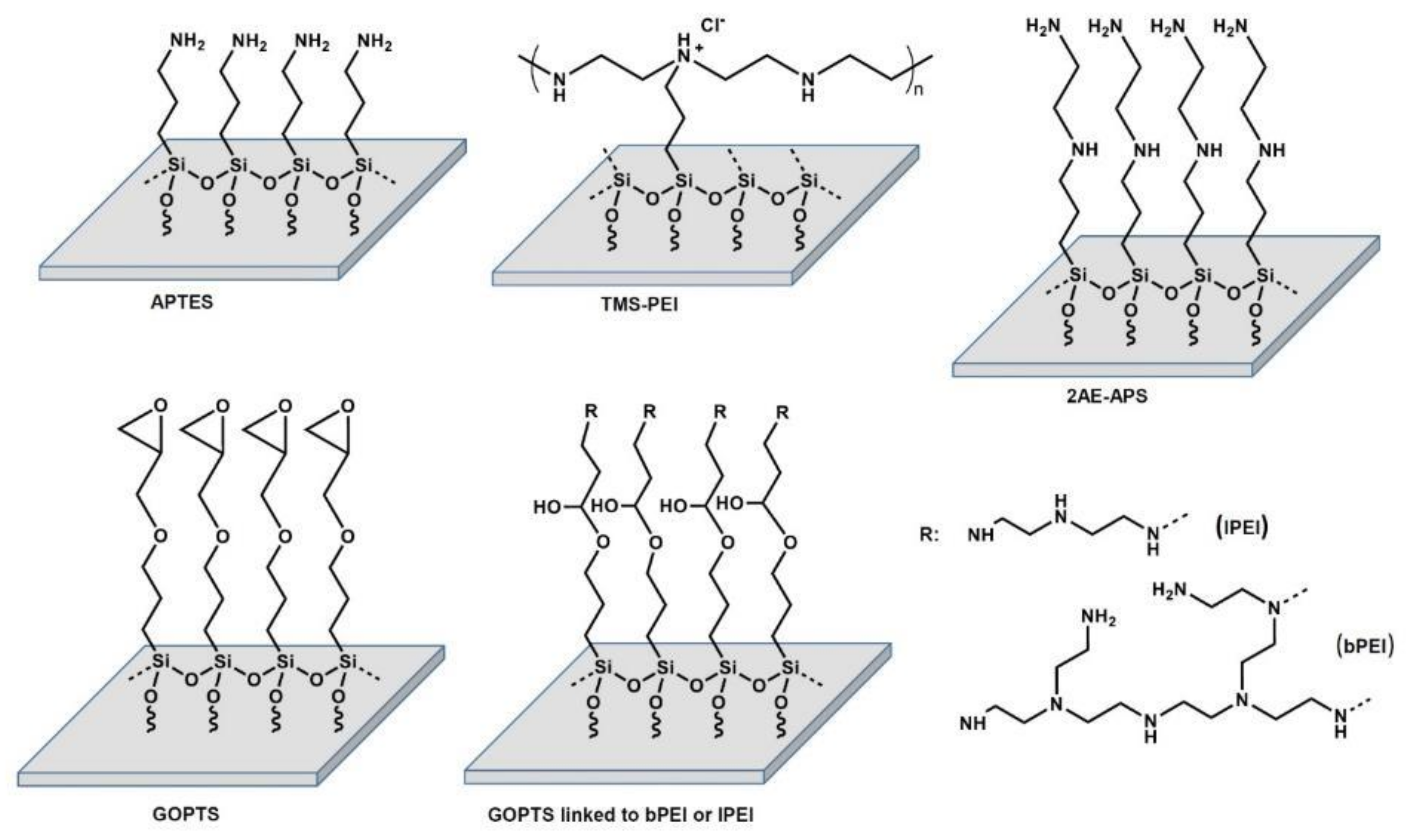 Molecules 28 06505 g011