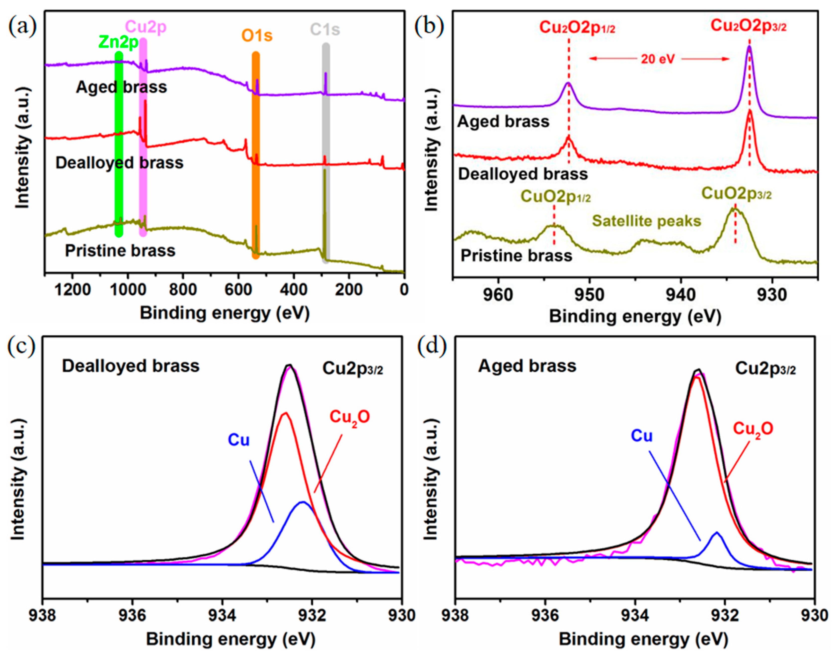 Molecules 28 06509 g005