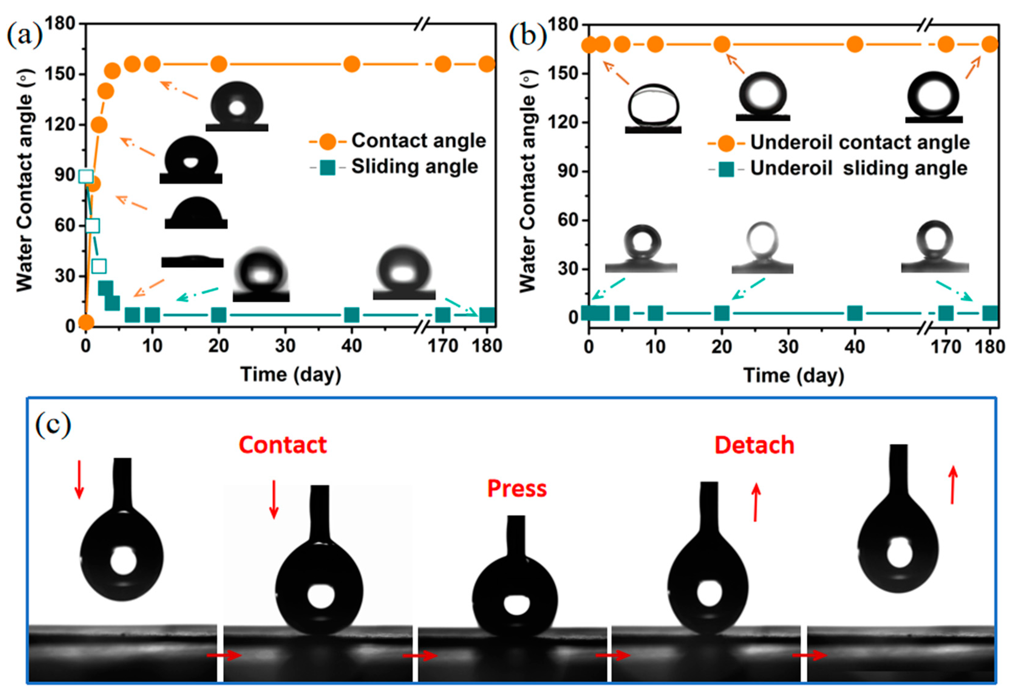 Molecules 28 06509 g006