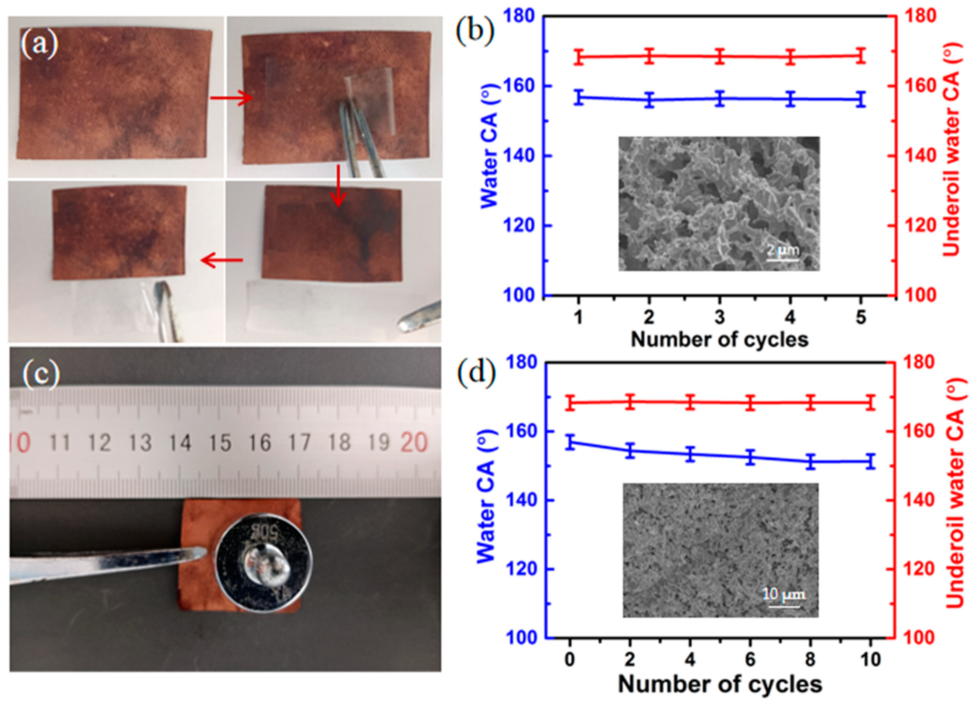 Molecules 28 06509 g011
