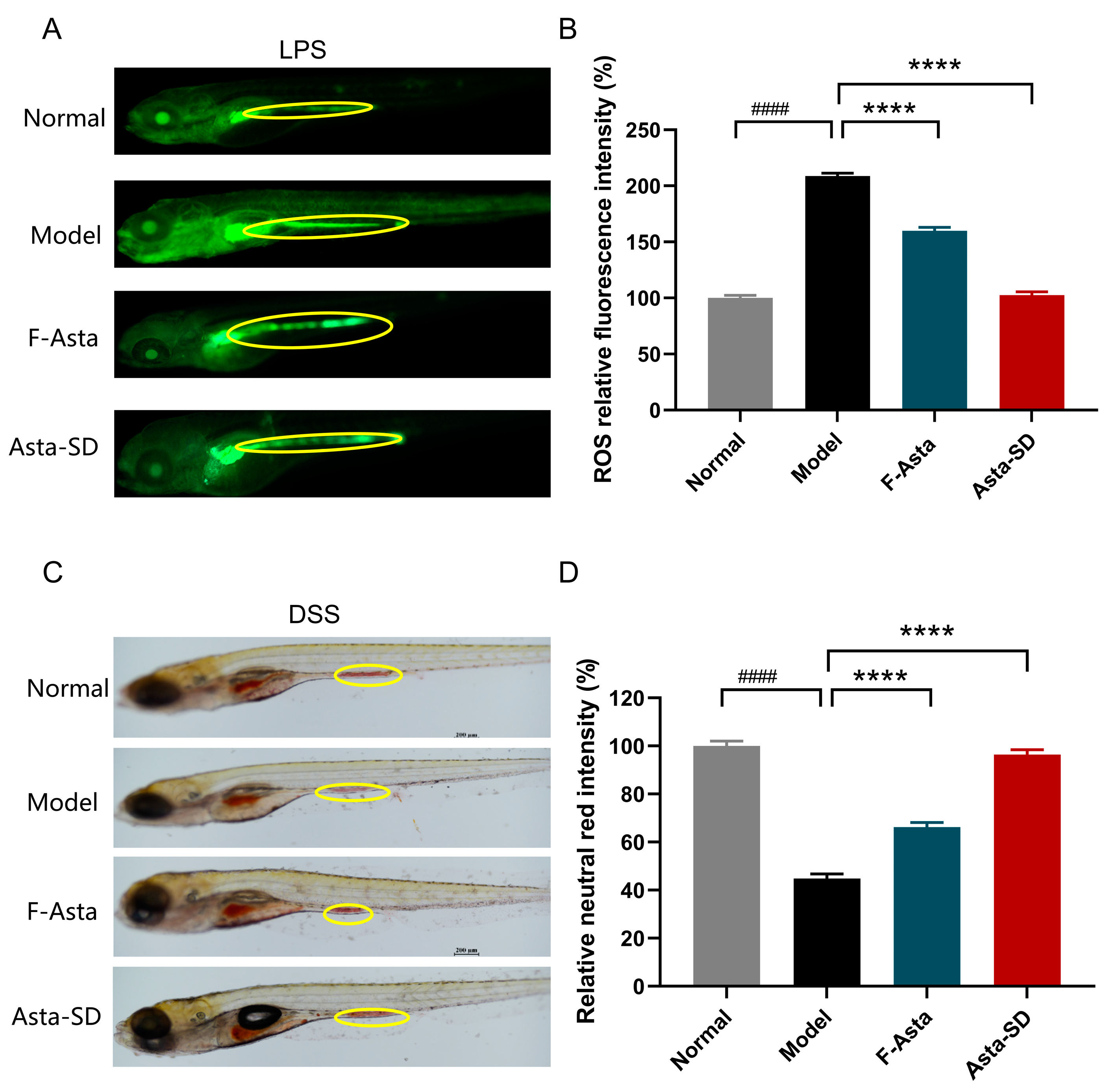 Molecules 28 06513 g002