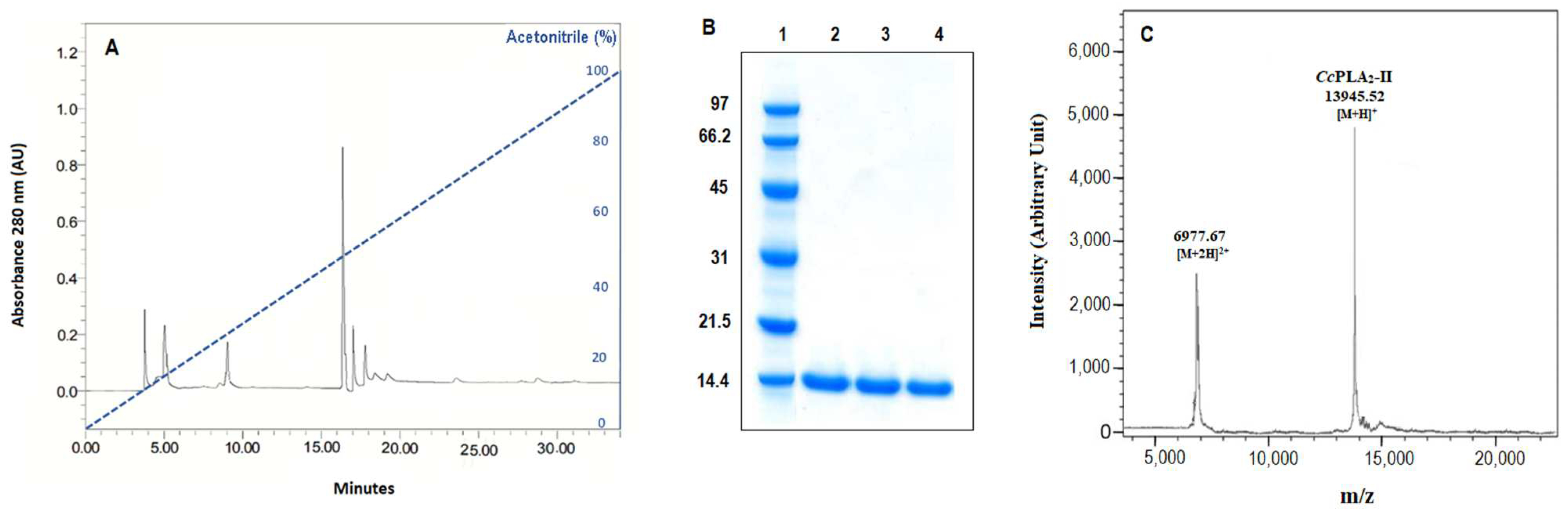 Molecules 28 06517 g001