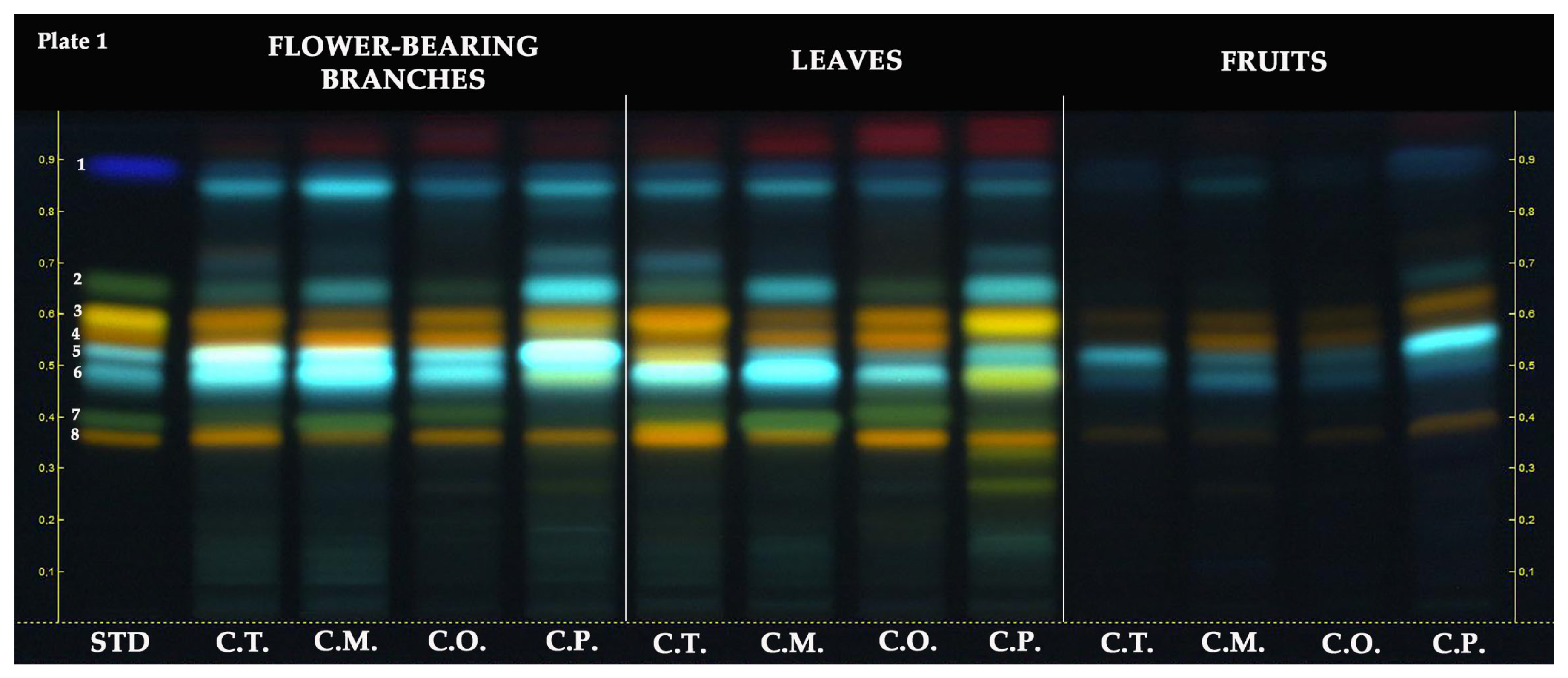 Molecules 28 06520 g002 Molecules 28 06520 g002