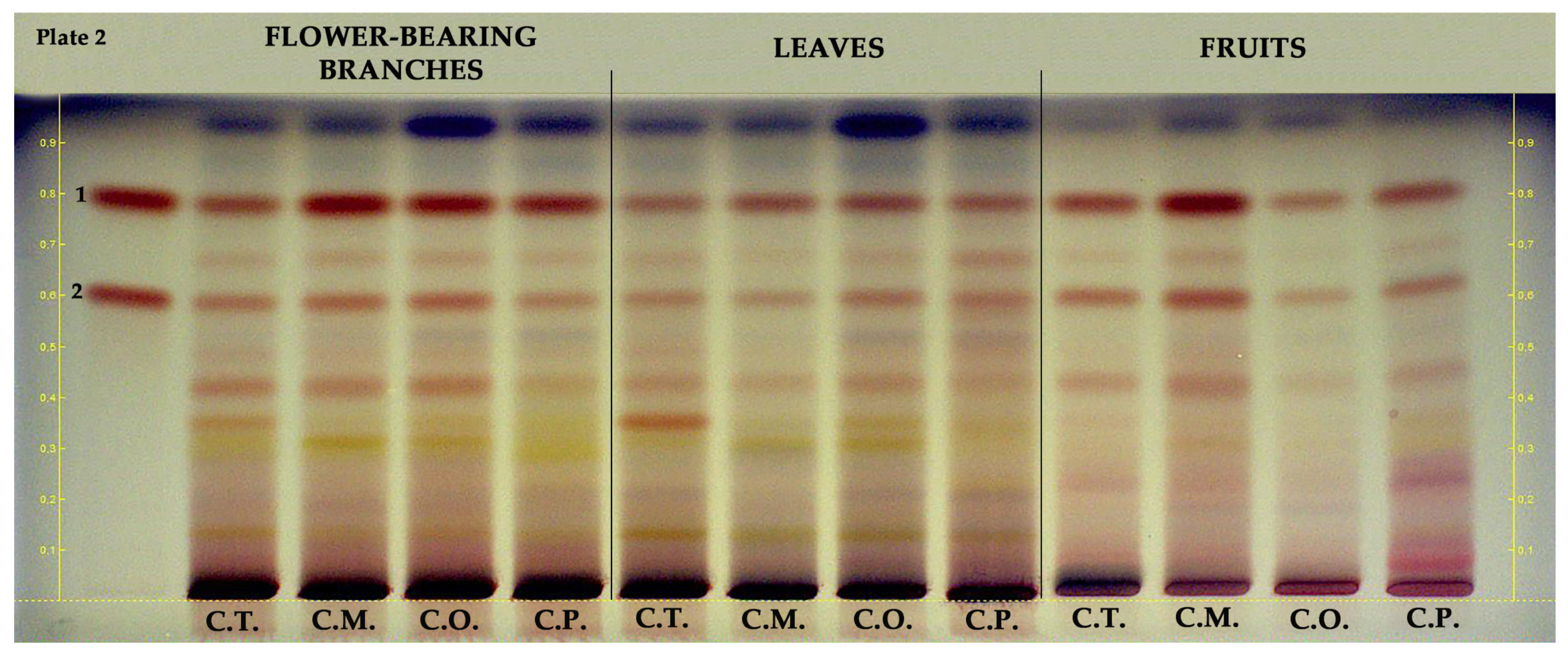 Molecules 28 06520 g003 Molecules 28 06520 g003