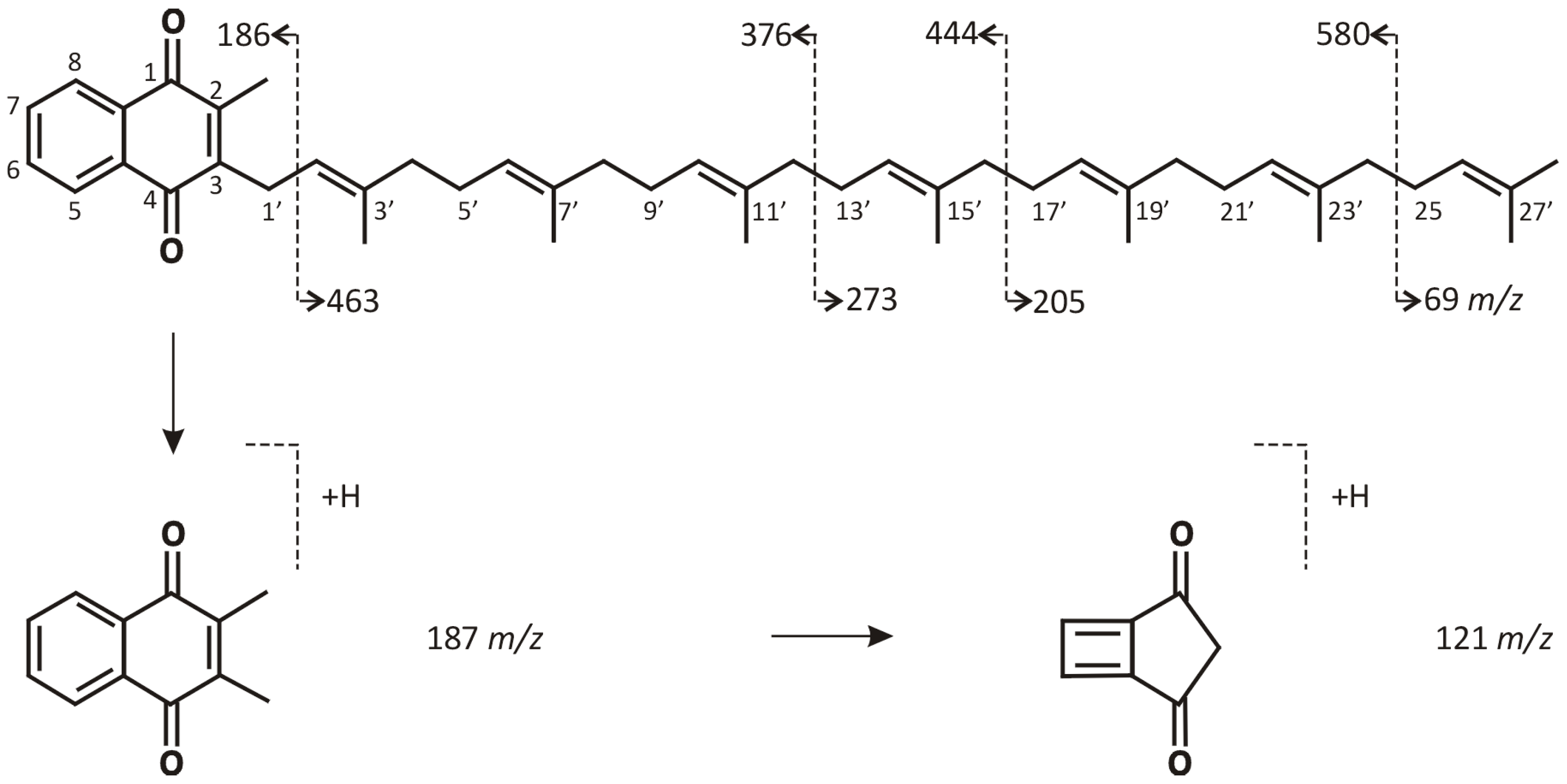 Molecules 28 06523 g003 Molecules 28 06523 g003