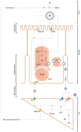 Molecules 28 06526 g007