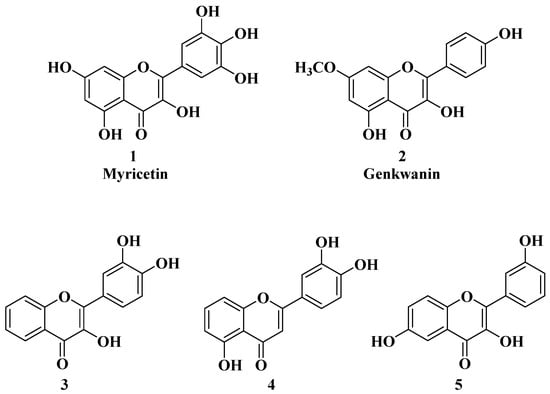 Molecules 28 06528 g002