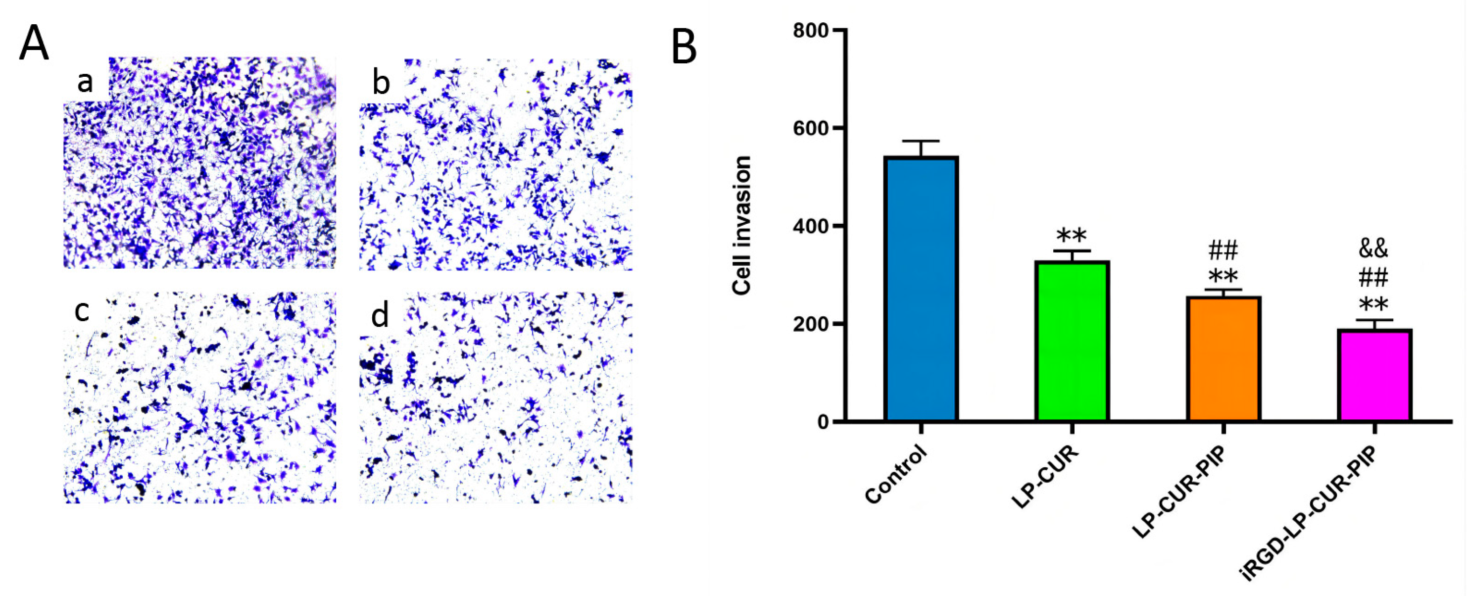 Molecules 28 06532 g004