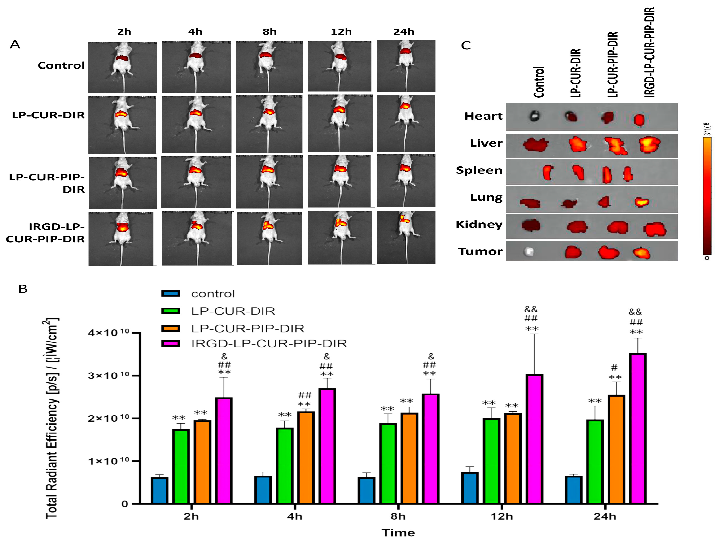 Molecules 28 06532 g005