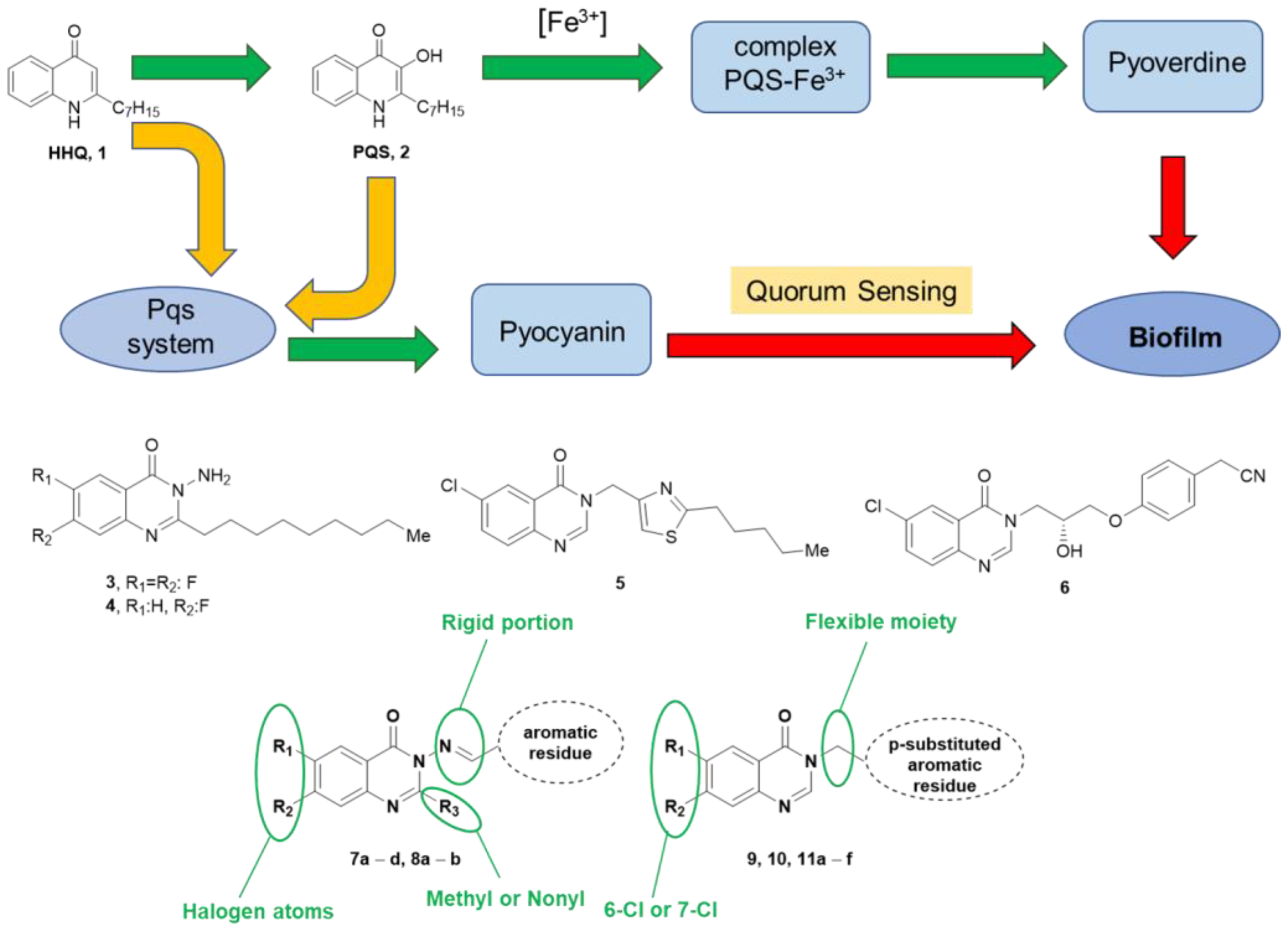 Molecules 28 06535 g001