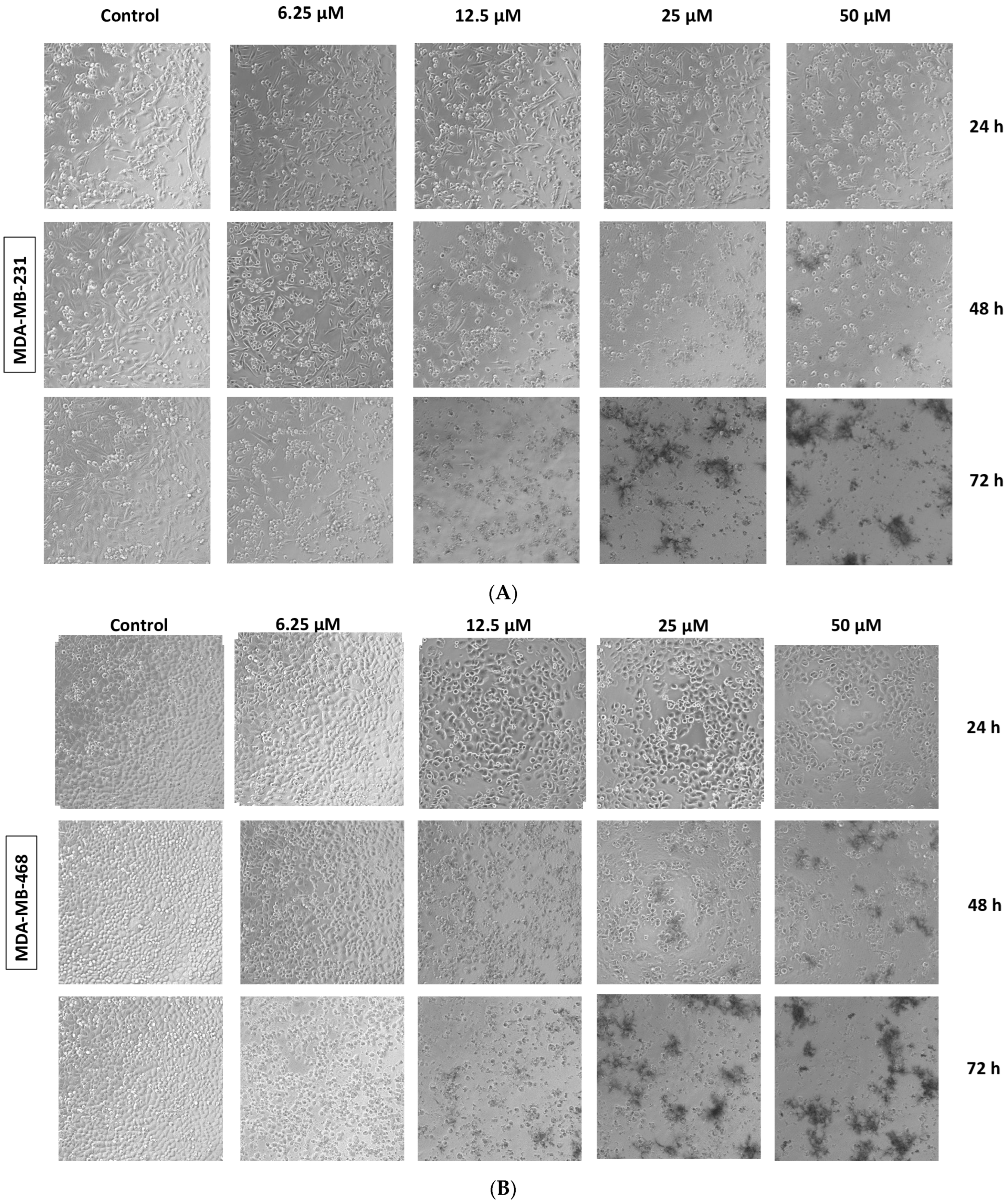Molecules 28 06536 g004 Molecules 28 06536 g004