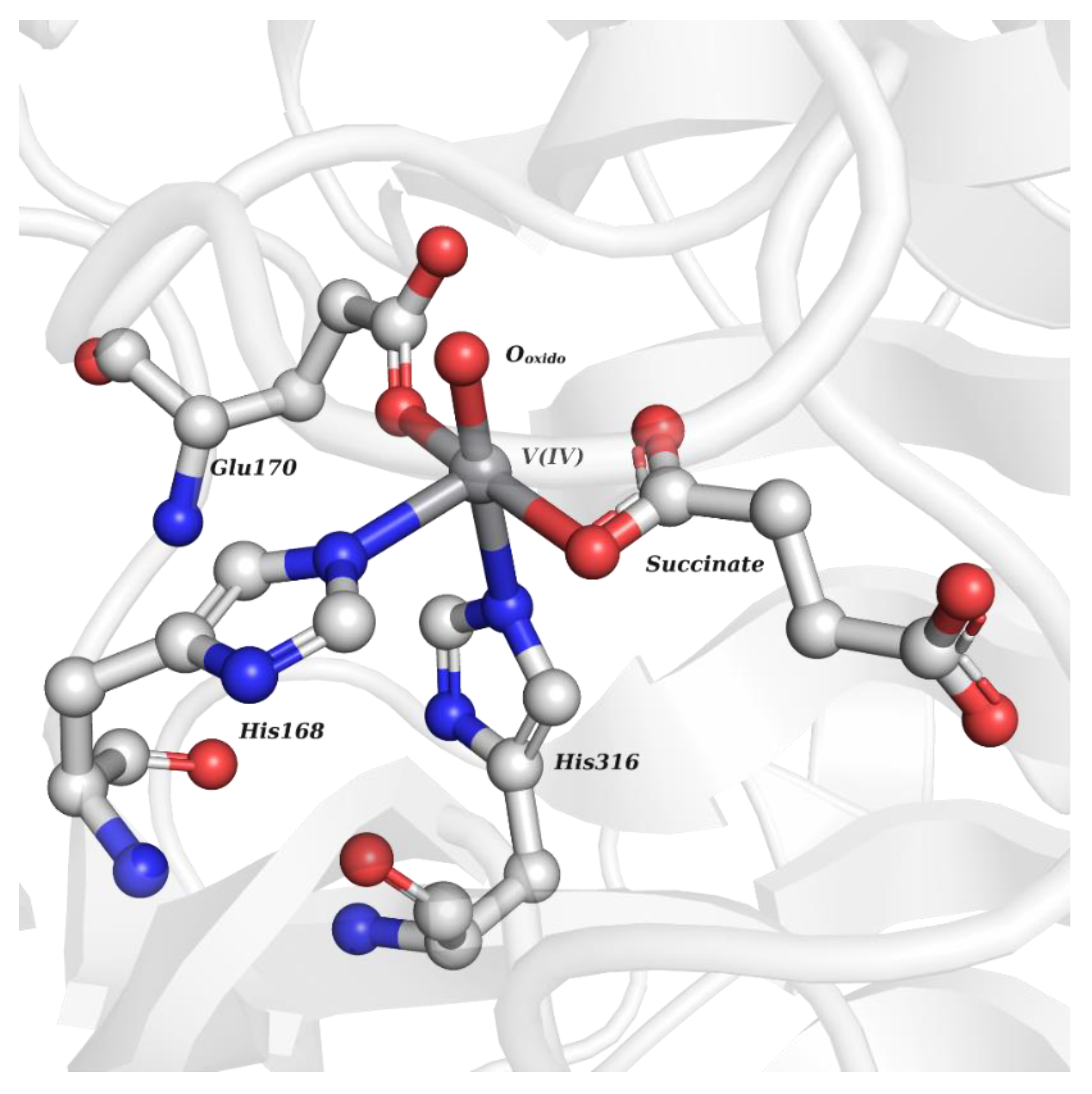 Molecules 28 06538 g002