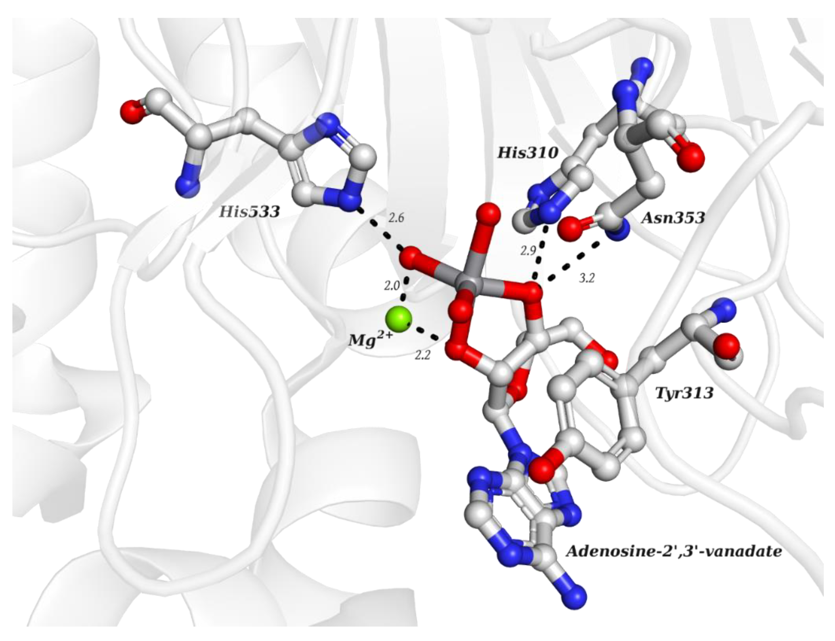 Molecules 28 06538 g003