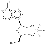 Molecules 28 06538 i014