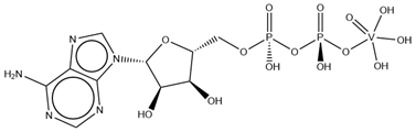 Molecules 28 06538 i017