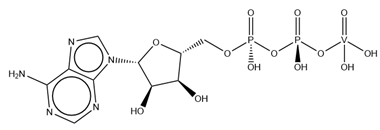Molecules 28 06538 i018