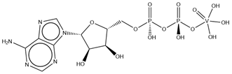 Molecules 28 06538 i029