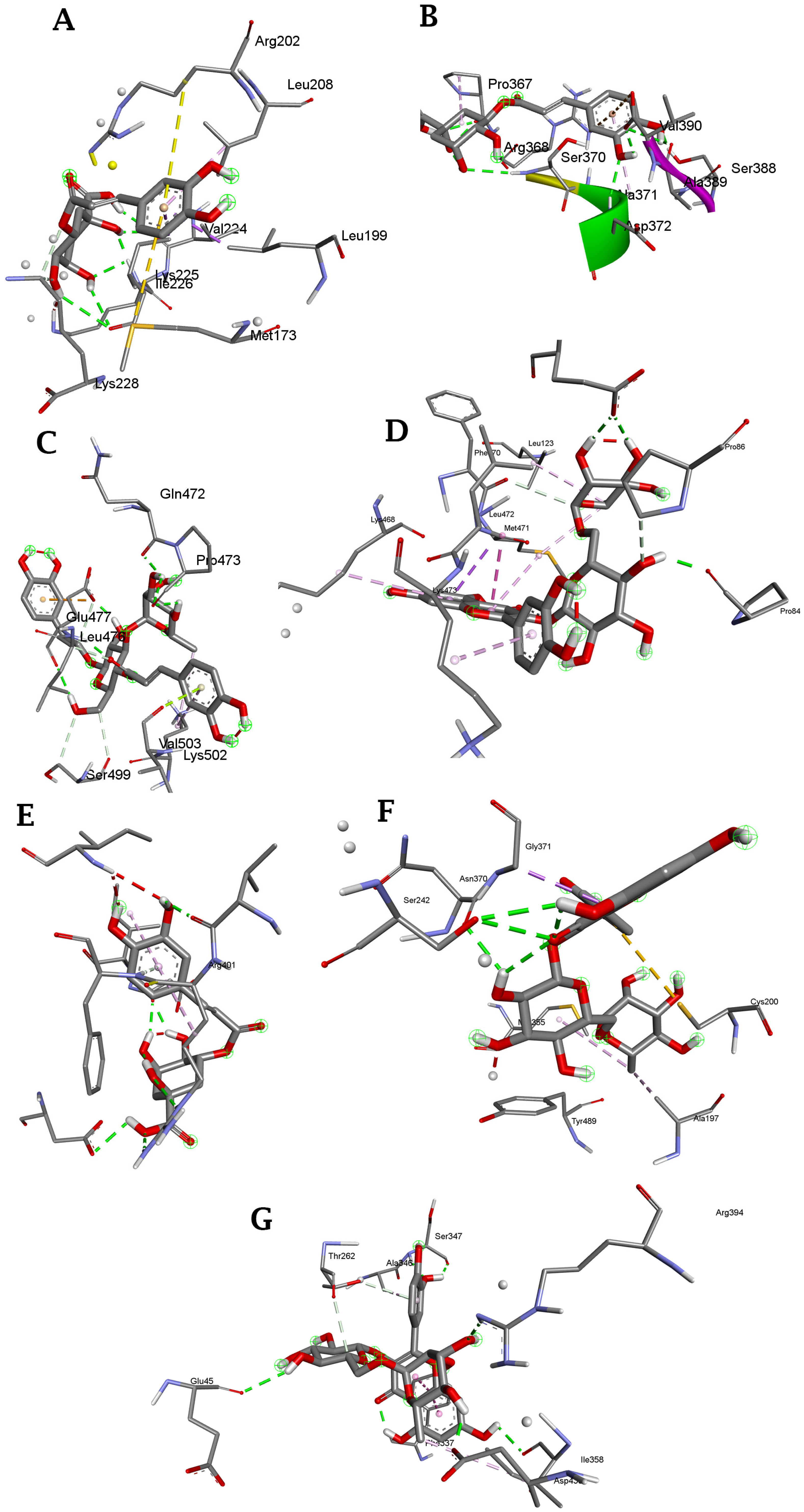 Molecules 28 06550 g005 Molecules 28 06550 g005