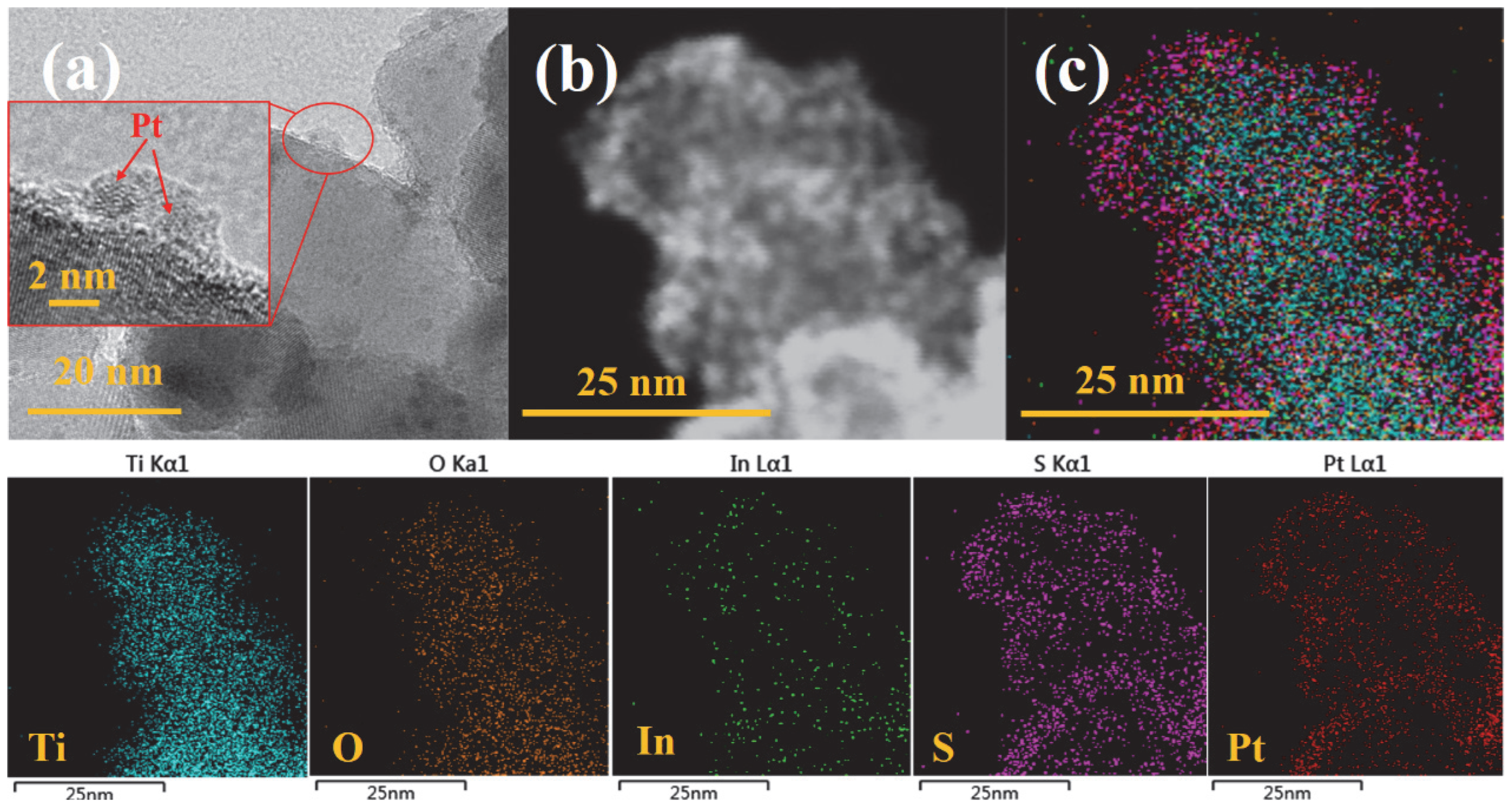 Molecules 28 06554 g007